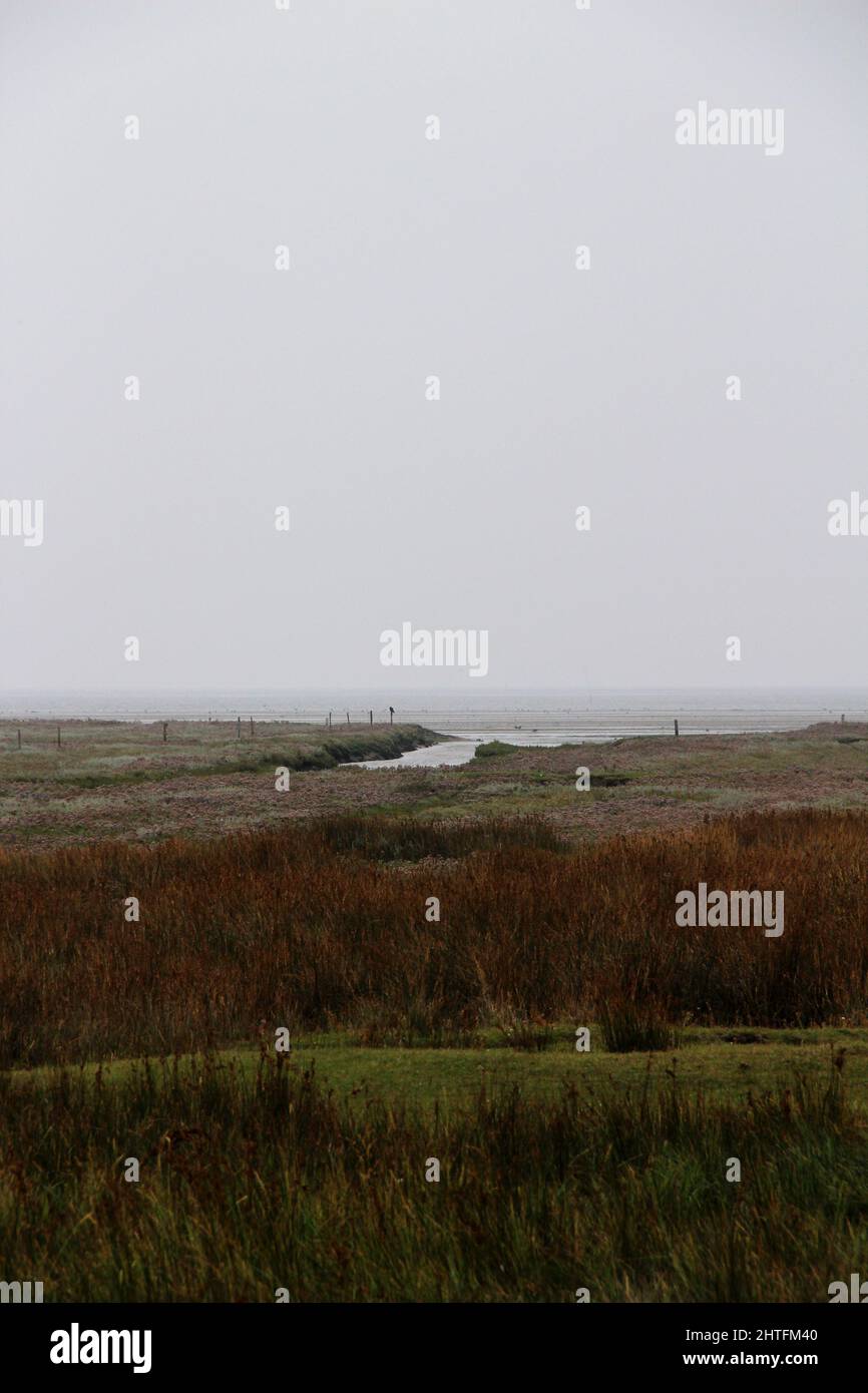 il paesaggio e la natura del mare settentrionale isola juist germania Foto Stock