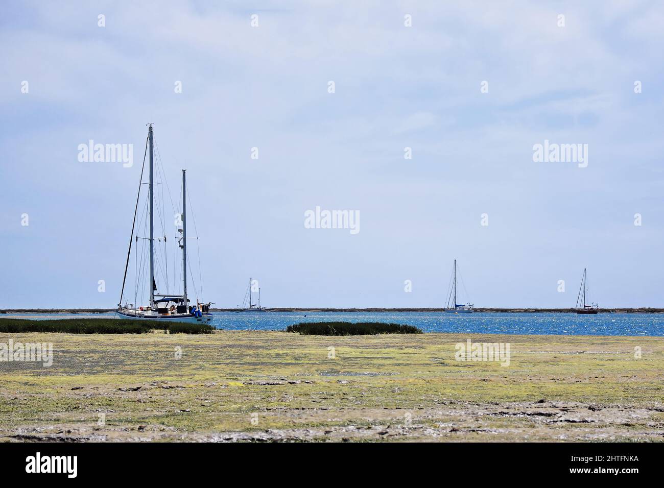 Barche a vela ancorate-Sagrass sui canali mudflats-Intertidal di Ria Formosa. Faro-Portogallo-128 Foto Stock