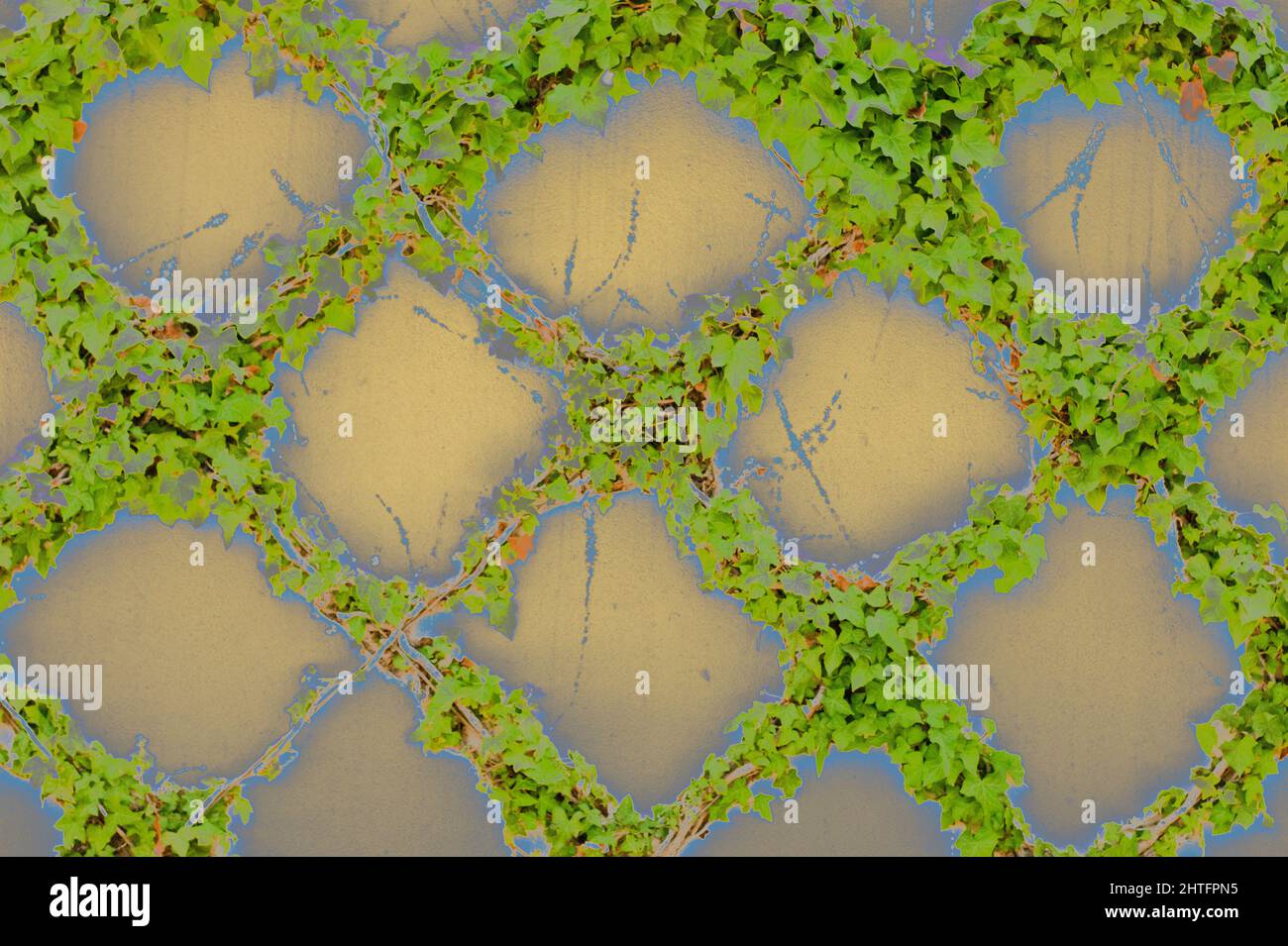 Le moderne tonalità di colore ripetono le foglie di edera verde con motivo a diamante sulle pareti in stucco giallo beige. In questo primo piano, il colore blu si evidenzia. Foto Stock