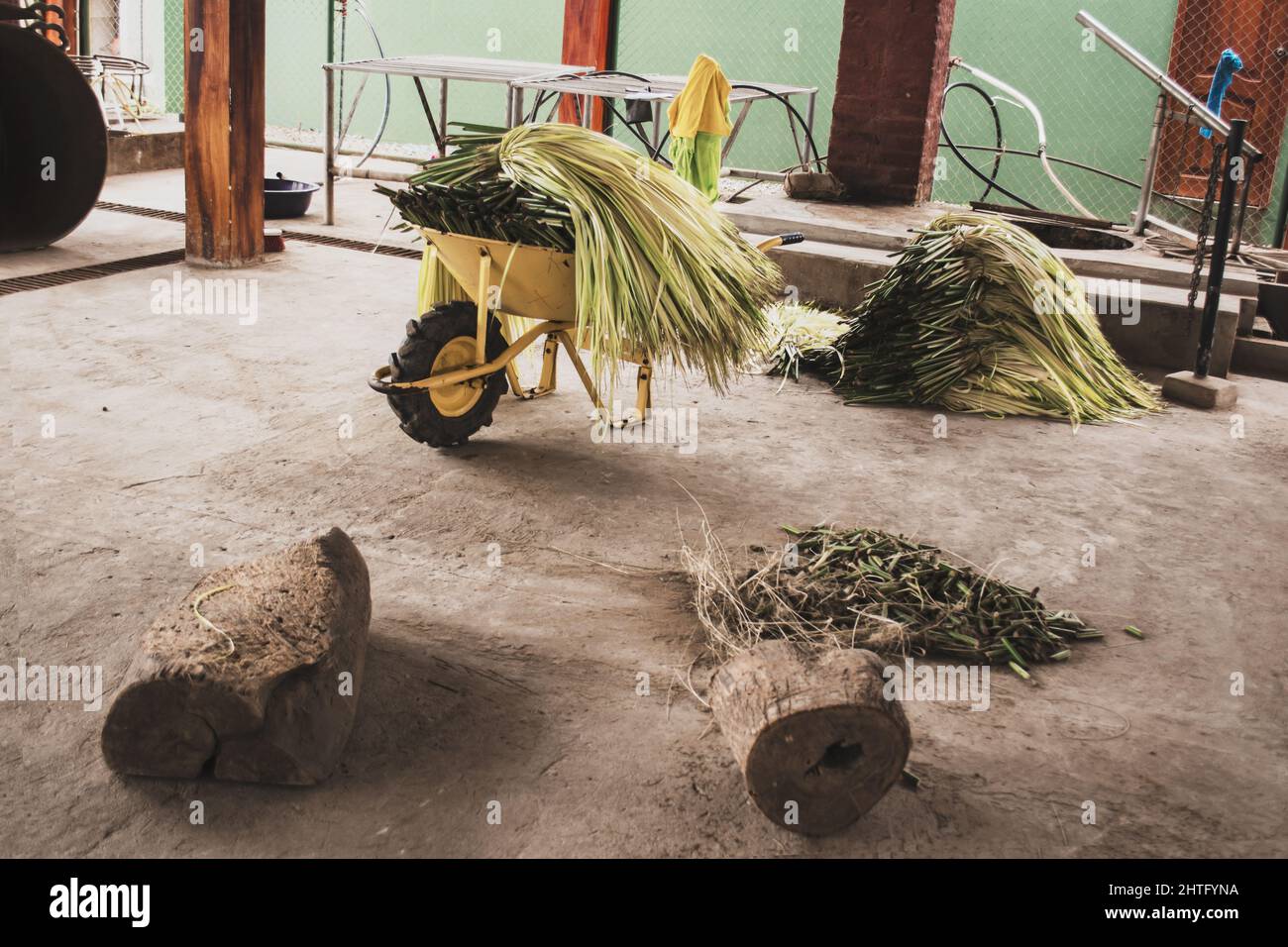 Carrello di piante verdi e attrezzi agricoli in un capannone esterno Foto Stock