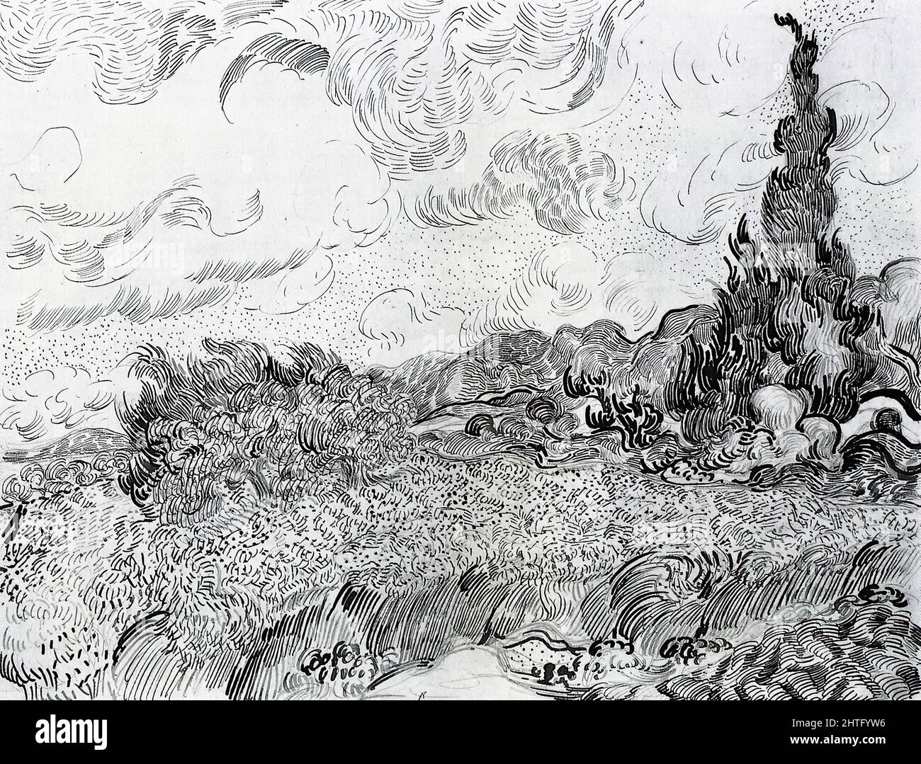 van gogh il campo di grano