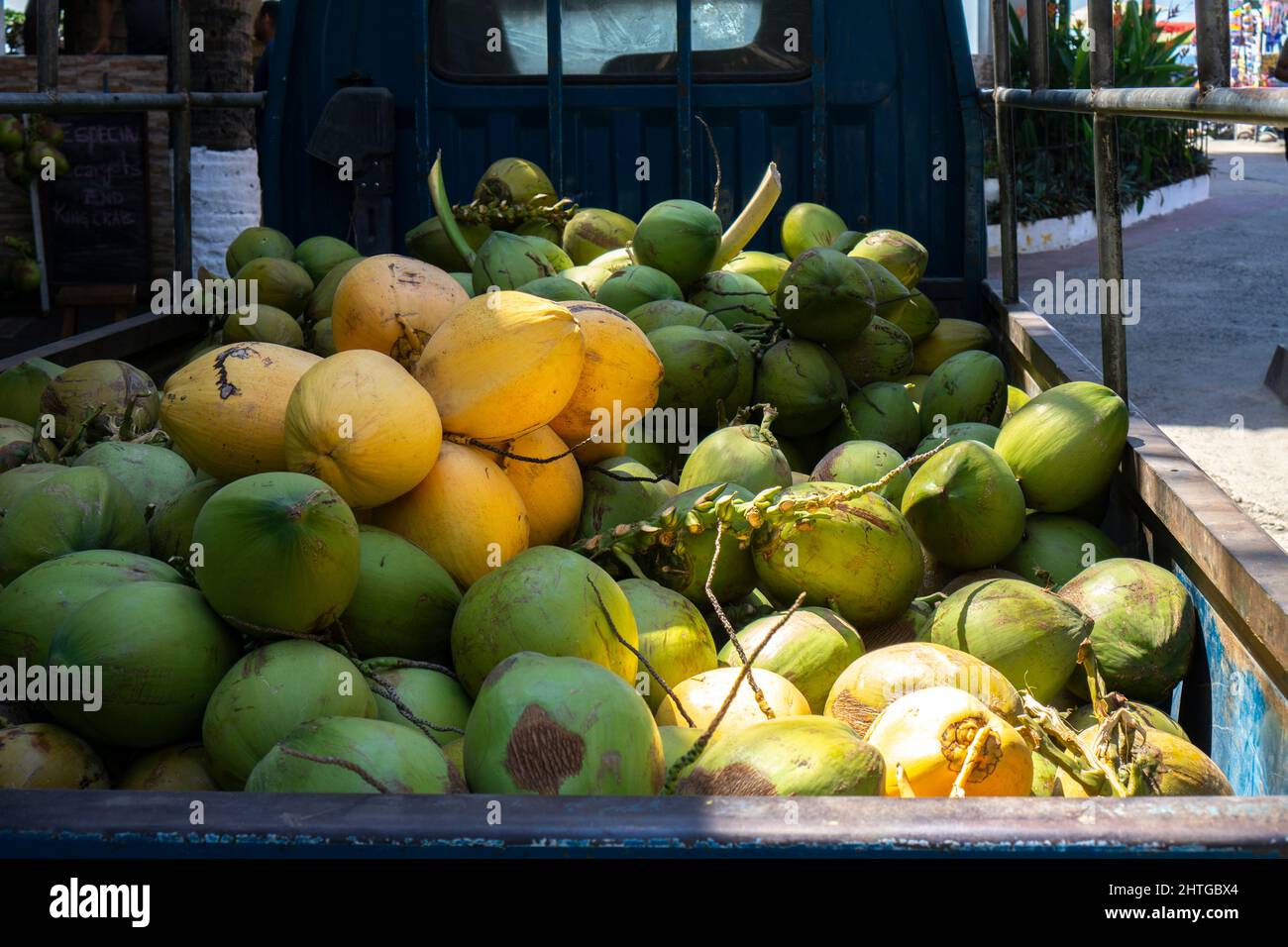 Cumulo di noci di cocco fresche trasportate su un pick up camion per la vendita. Frutti tropicali verdi e gialli Foto Stock