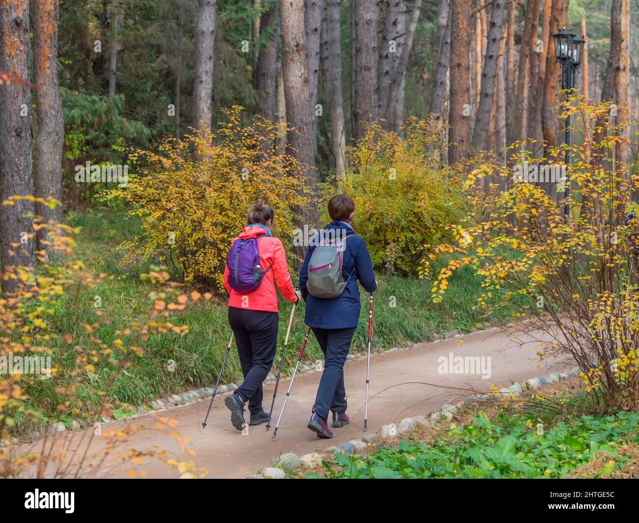 Gli escursionisti con bastoni percorrono il sentiero nel parco autunnale. Nordic walking. Parco nazionale di Kislovodsk Foto Stock