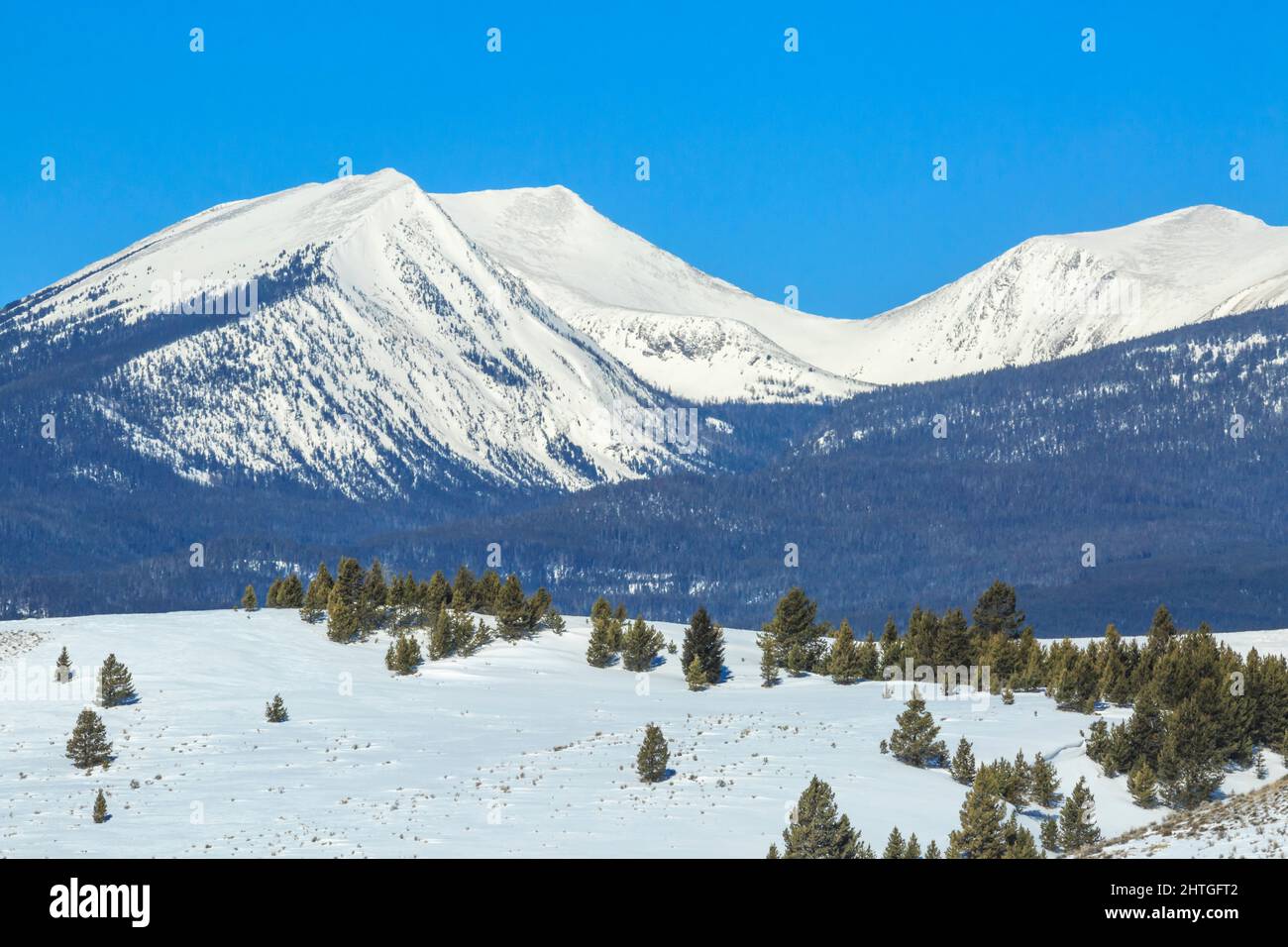 picchi della catena anaconda in inverno vicino anaconda, montana Foto Stock