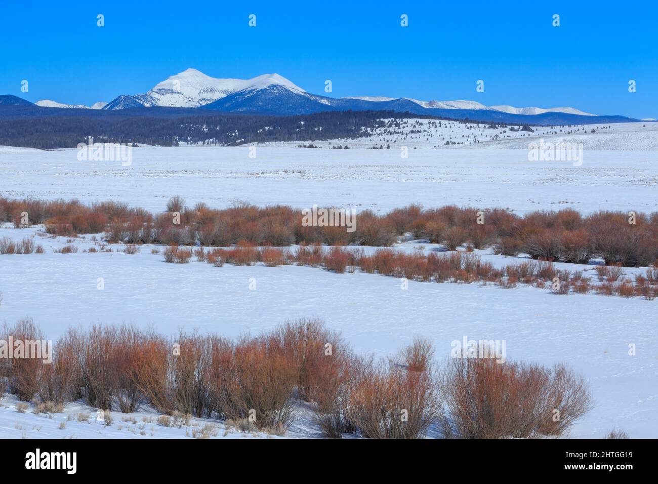 la capra occidentale e la capra orientale cime nella serie anaconda sopra la valle del buco grande in inverno vicino a sapienza, montana Foto Stock