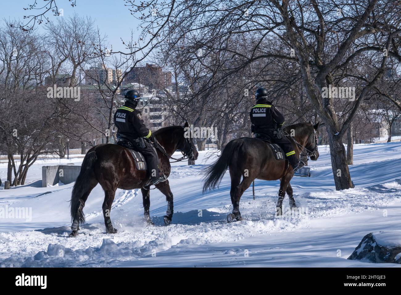 Montreal, CA - 26 febbraio 2022: RCMP ha montato agenti di polizia pattugliando sul Monte-Royal Foto Stock