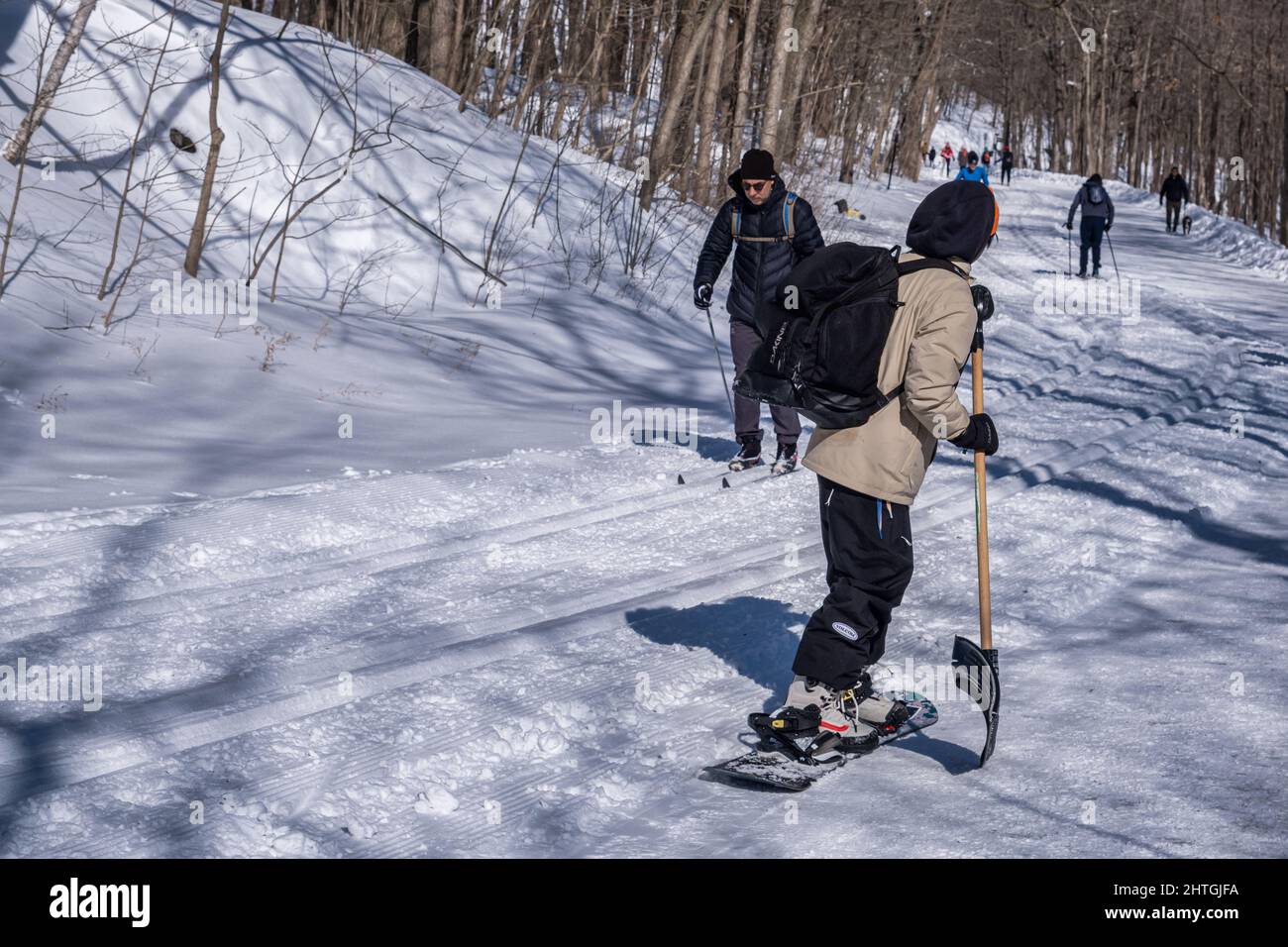Montreal, CA - 26 Febbraio 2022: Persone che camminano o sciano su un sentiero innevato nel Mount Royal Park di Montreal (Parc Du Mont-Royal) dopo la tempesta di neve. Foto Stock