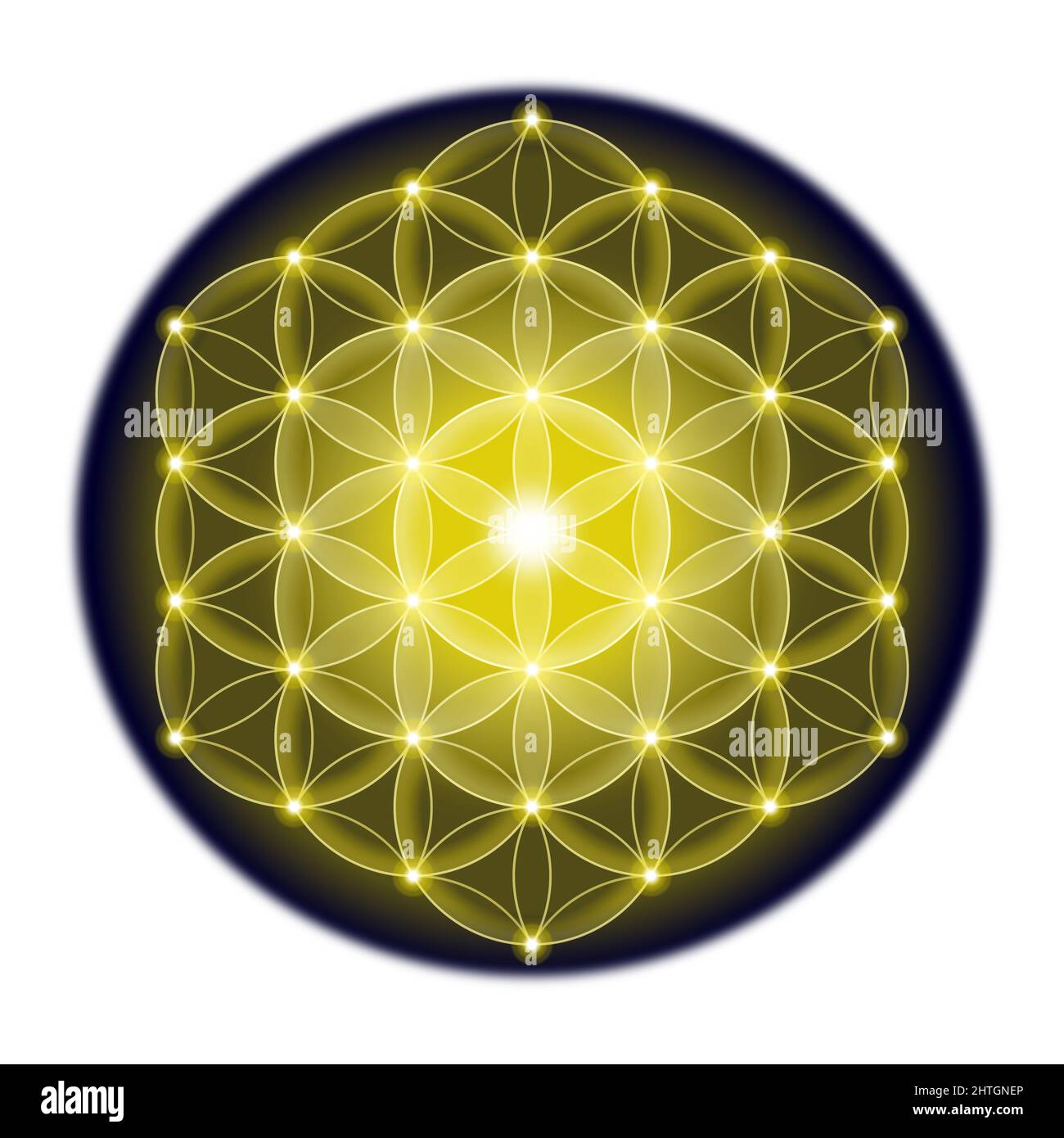 Golden Flower of Life su sfondo nero a forma di cerchio. Figura geometrica e antico simbolo spirituale della geometria Sacra. Cerchi sovrapposti. Foto Stock