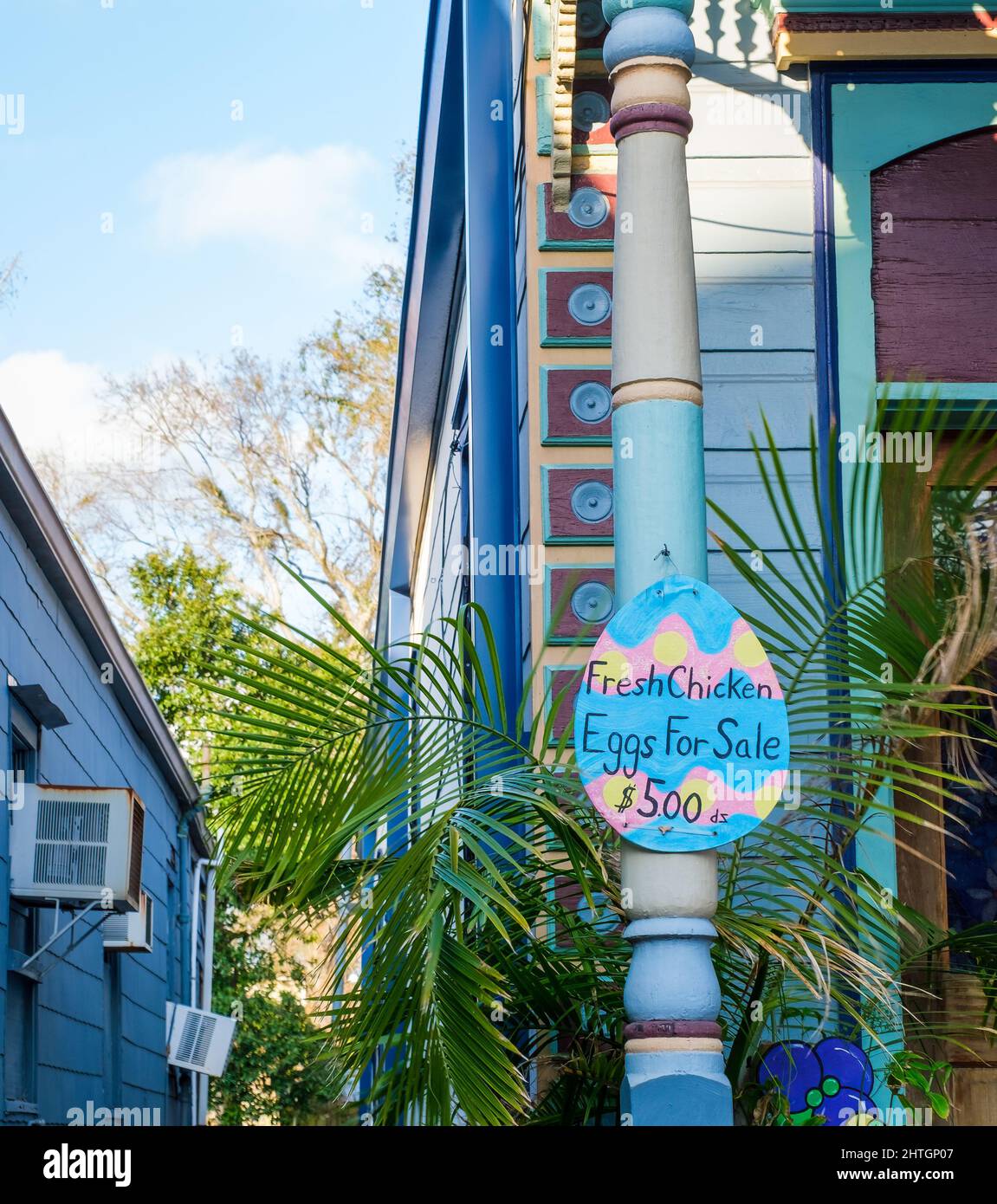 NEW ORLEANS, LA, Stati Uniti d'America - 21 FEBBRAIO 2022: 'Uova di pollo fresche in vendita' segno sulla colonna di colorato storico casa fucile a caccia di Oak Street Foto Stock