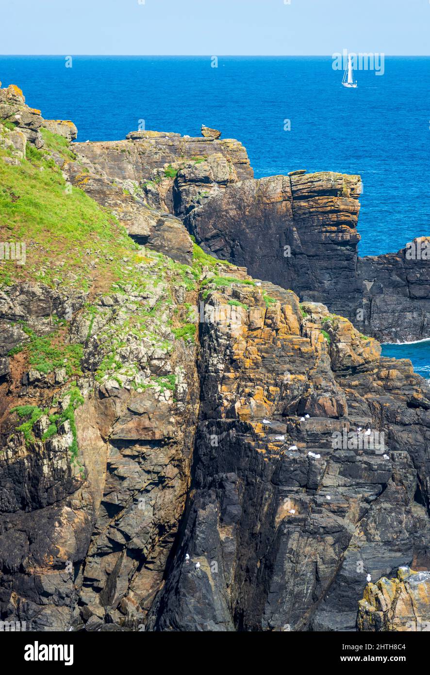 Bel, chiaro, bel tempo estivo soleggiato, su scogliere ricoperte di fiori erbosi, mare calmo, costa drammatica, il punto più meridionale della terraferma britannica.A po Foto Stock