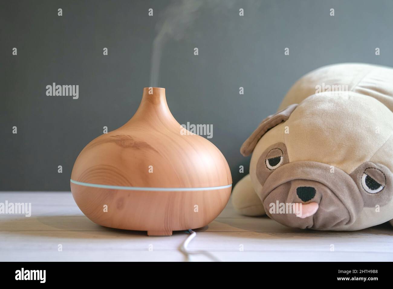 Aroma essenziale olio diffusore e pug cane morbido giocattolo sul tavolo. Interni accoglienti. Foto Stock