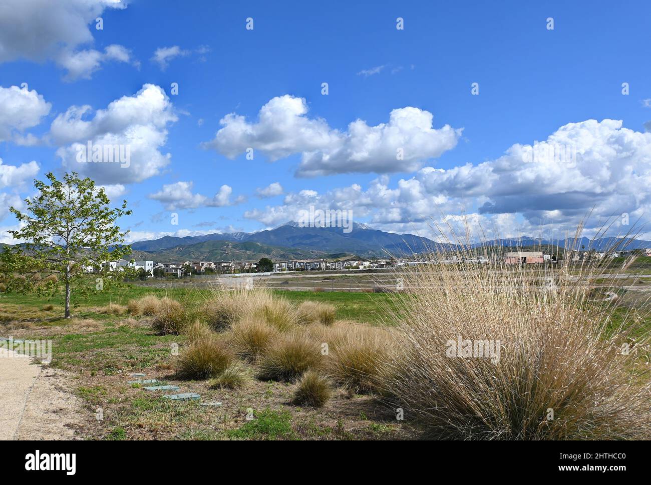 IRVINE, CALIFORNIA - 23 FEB 2022: Saddleback Peak con le nuove case viste dalla zona bosque del parco grande della contea di Orange. Foto Stock