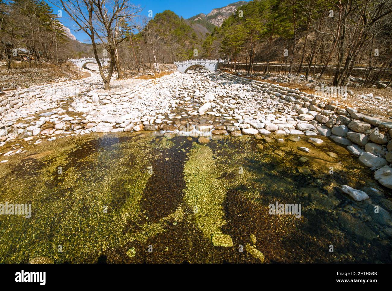 Acqua di sorgente ghiacciata e fredda che scorre attraverso un fiume alla base del Parco Nazionale di Seoraksan, Corea del Sud. Foto Stock