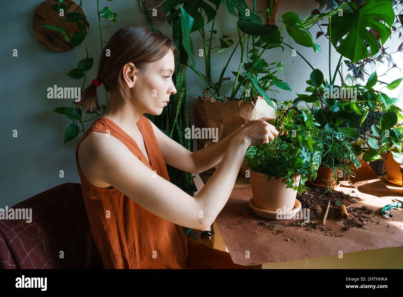 Donna giardiniere vestito arancione a casa trapiantando piante in vasi nuovi. Giardinaggio, piantagione di fiori e concetto di professione fiorista. Foto Stock