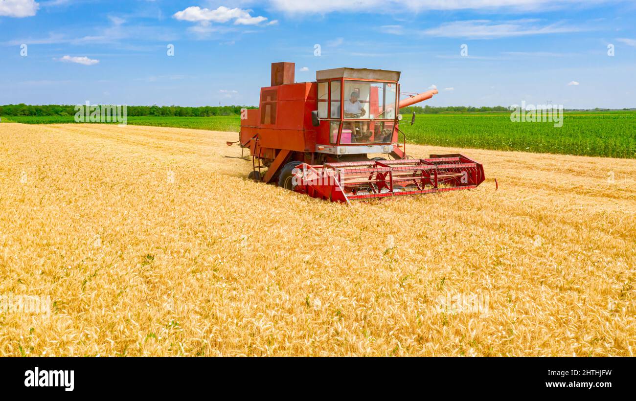 Vista aerea della vecchia mietitrebbia rossa agricola come taglio, raccolta di grano maturo sui campi agricoli. Foto Stock