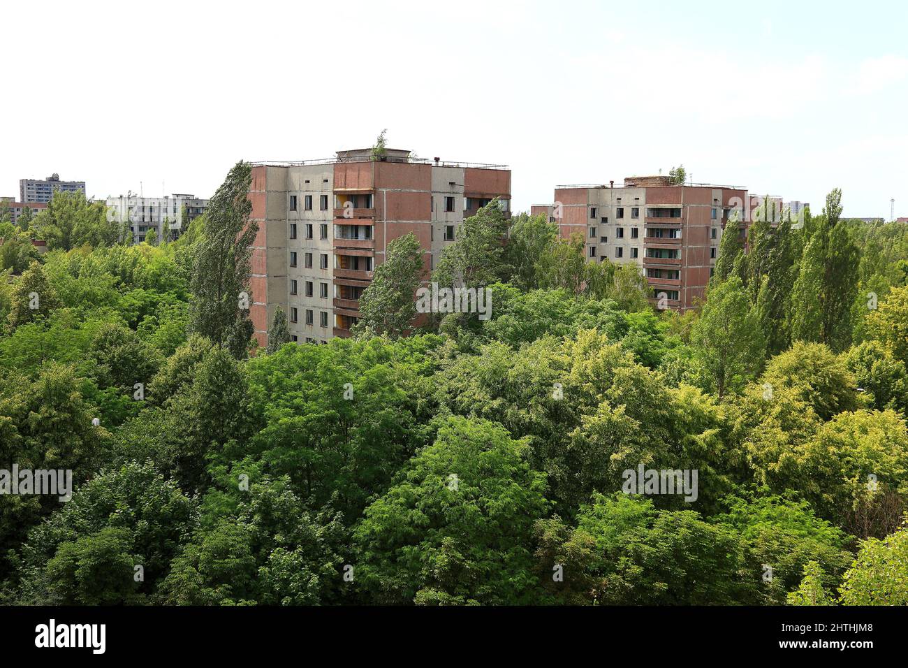 Ucraina, Sperrzone, ehemalige Wohnhaeuser in Pripjat, nun in der unbewohnbaren 30-kilometri-zone um das Kraftwerk von Tschernobyl und der Arbeitersied Foto Stock