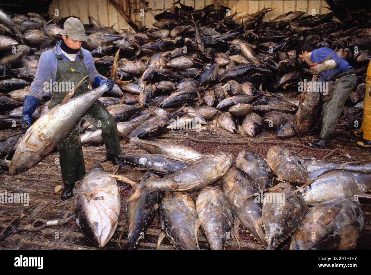 francia oceano atlantico pesca di tonno barca Foto Stock