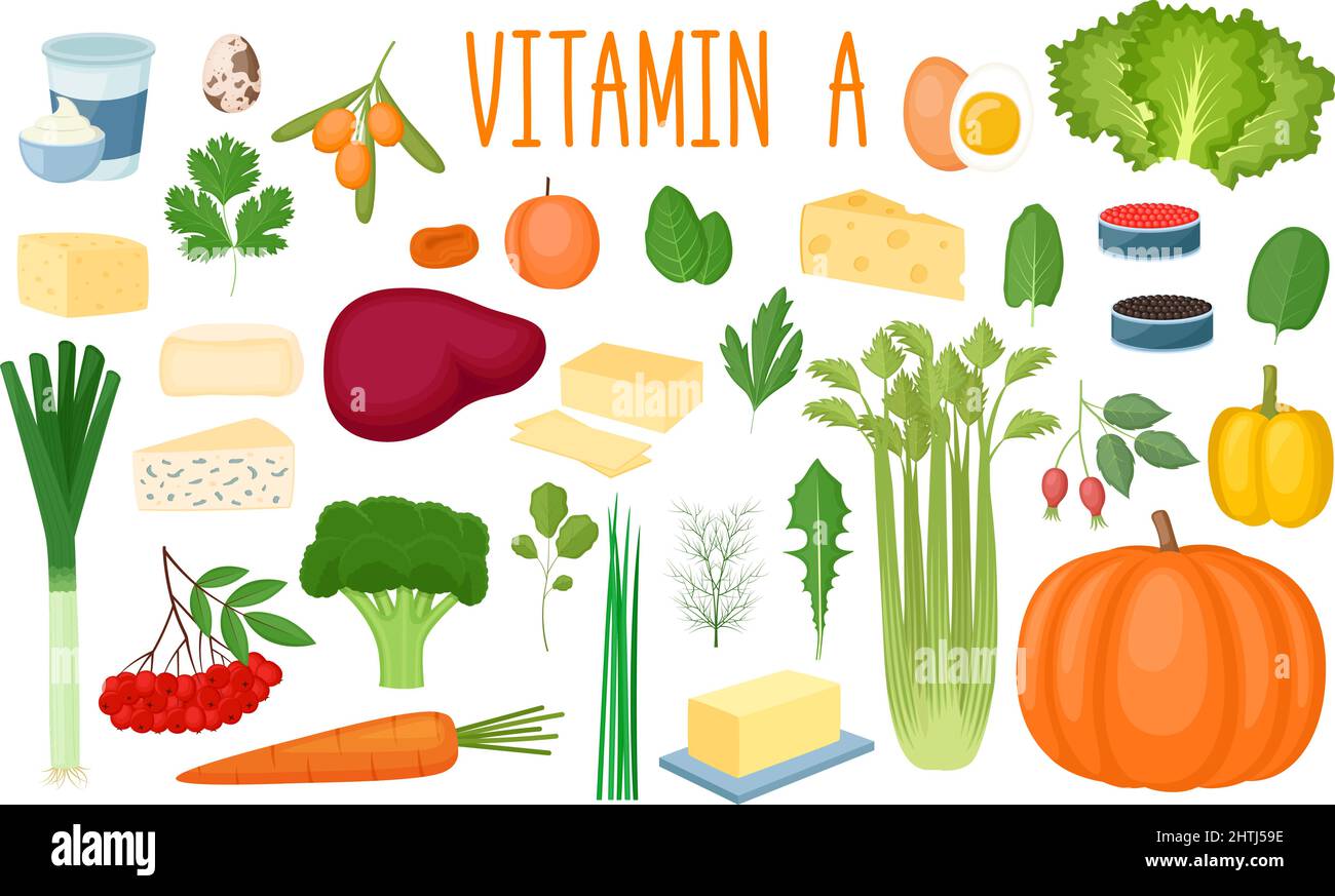 Set di fonti di vitamina A. Cibo sano. Raccolta di verdure, verdure, latticini e uova arricchite di vitamina C. illustrazione vettoriale Illustrazione Vettoriale