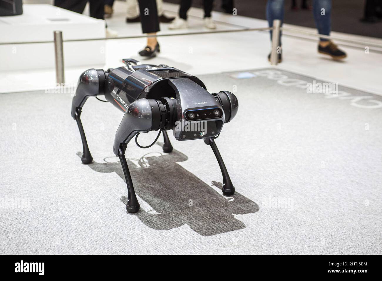 Barcellona, Spagna. 28th Feb 2022. Un Robot Cyber Dog visto in mostra durante il primo giorno del Mobile World Congress 2022 (MWC) alla Fira de Barcelona. Credit: SOPA Images Limited/Alamy Live News Foto Stock