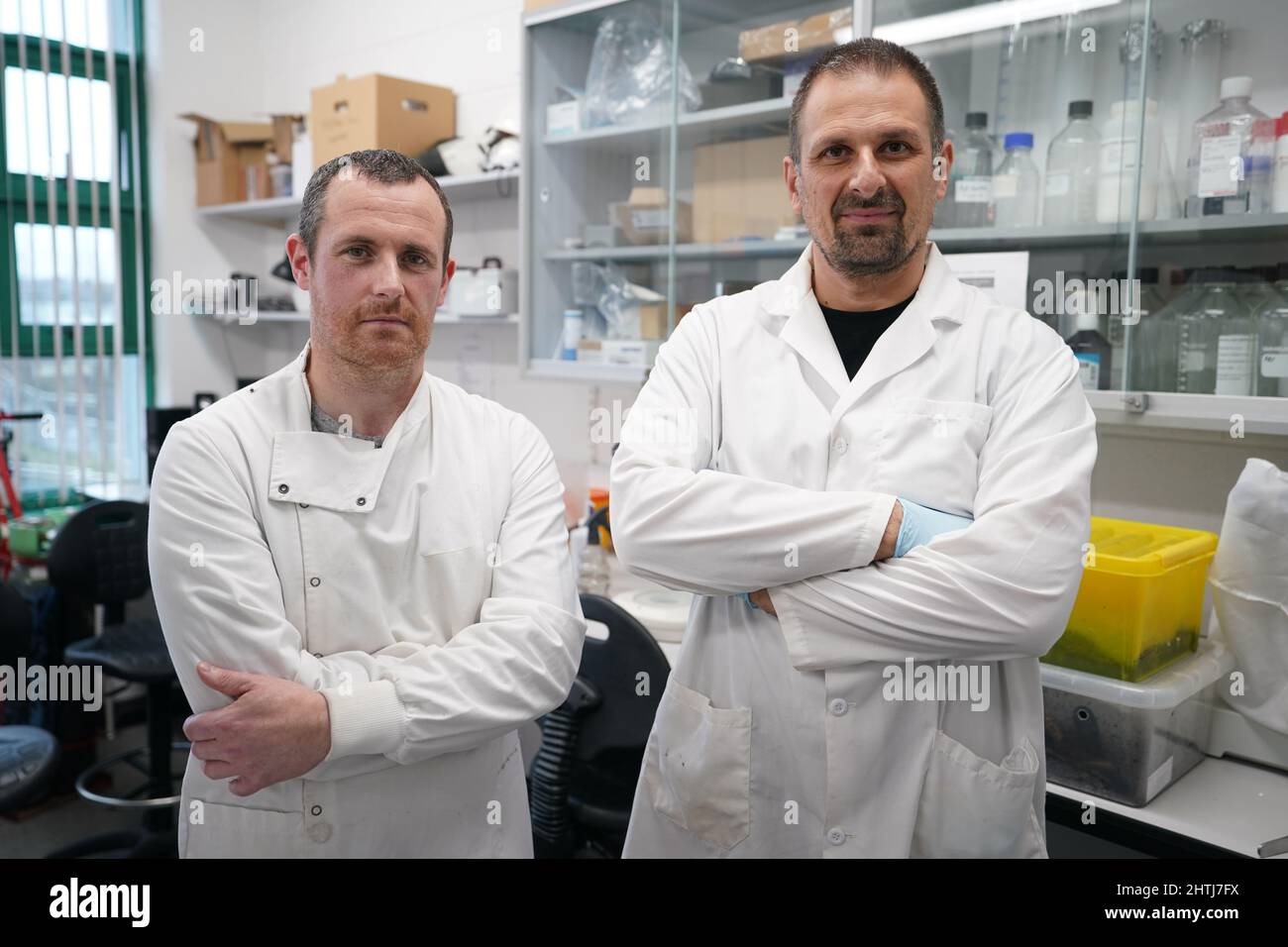 In precedenza non pubblicata foto del Dr John Dunbar (a sinistra) e del Dr Michel Dugon del Venom Lab presso la National University of Ireland Galway. Gli scienziati di Galway hanno pubblicato il primo record di un nobile e falso ragno vedova che si nutrono di una specie protetta di pipistrello nel Regno Unito. Data foto: Mercoledì 9 febbraio 2022. Il nuovo studio, intitolato Webslinger Versus Dark Knight, pubblicato sulla rivista internazionale Ecosphere, mostra che i falsi ragni vedove continuano ad avere un impatto sulle specie native. Foto Stock