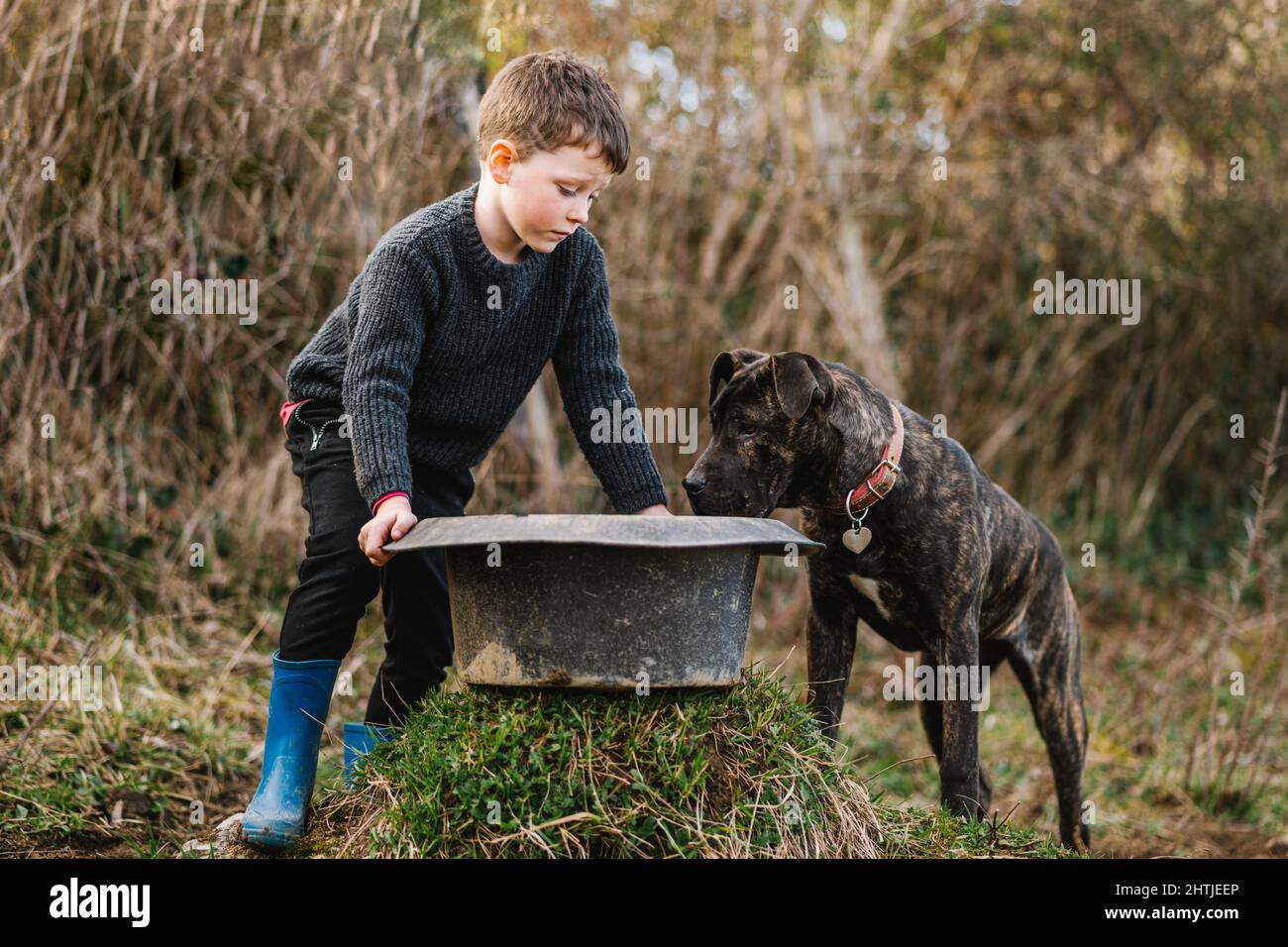 Ragazzo carino con nero sporco washbowl di cibo in piedi vicino American Pit Bull Terrier cane in campagna con piante secche Foto Stock