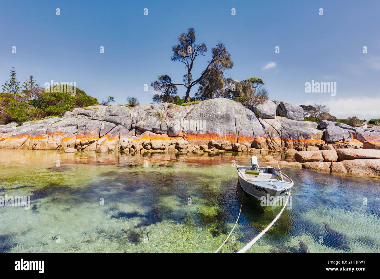 La crosta arancione del lichen Calapilla marina sulla roccia lungo la riva di Binalong Bay, Tasmania, Australia. Barca ormeggiata in baia. Foto Stock