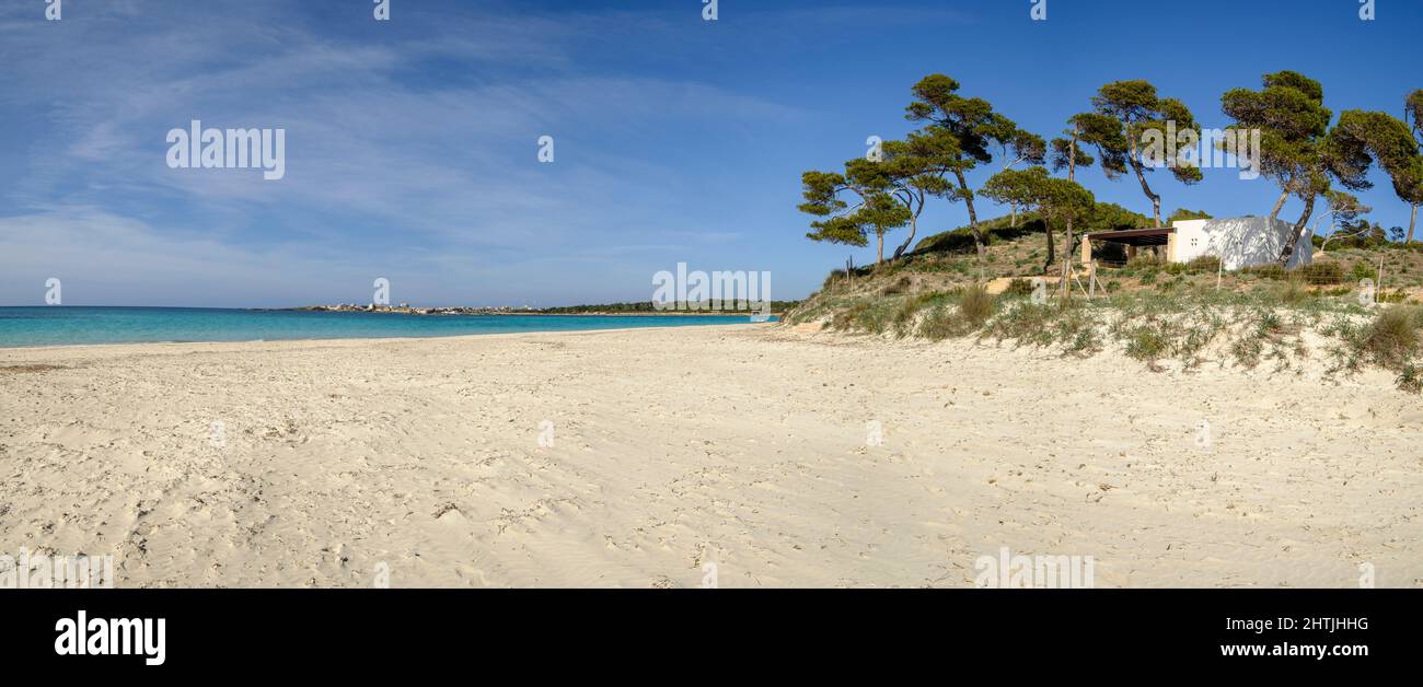 Es Carbo spiaggia, spiaggia di sabbia vergine , Ses Salines, Maiorca, Isole Baleari, Spagna Foto Stock