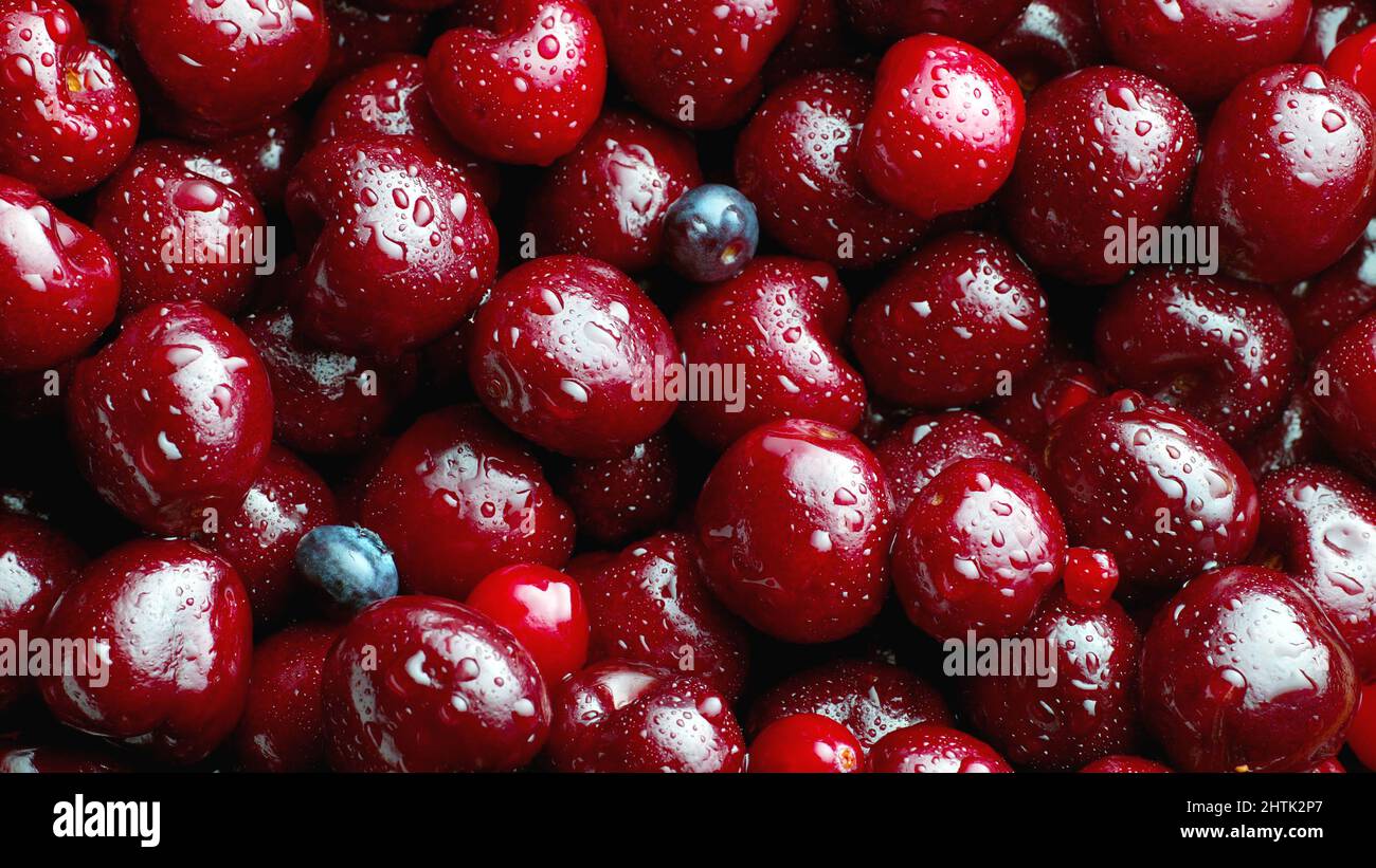 fresco dolce naturale rosso ciliegie mature fondo frutta. Foto Stock