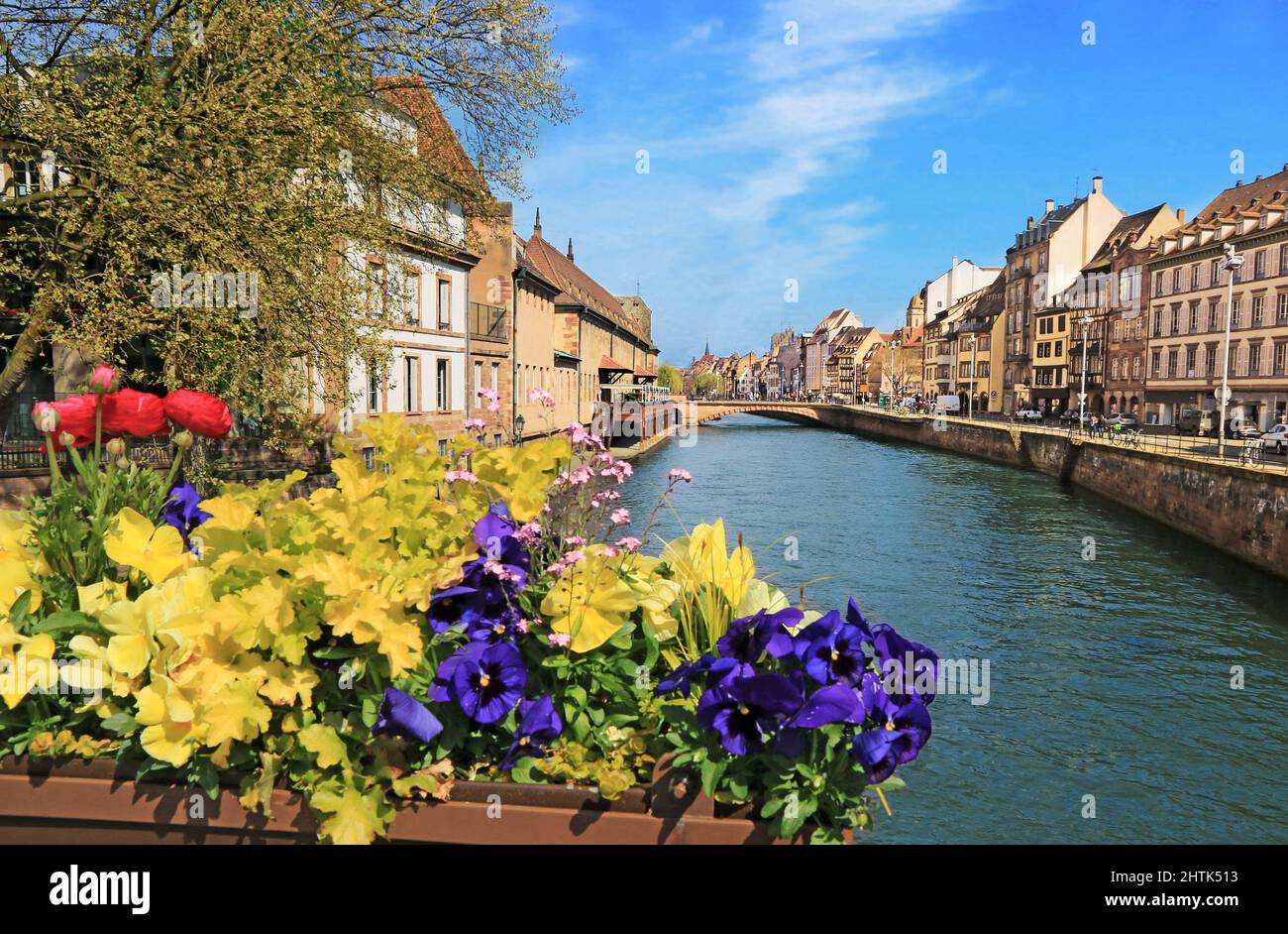 Case in stile alsaziano sulle rive del Ill in piccola Francia a Strasburgo Foto Stock