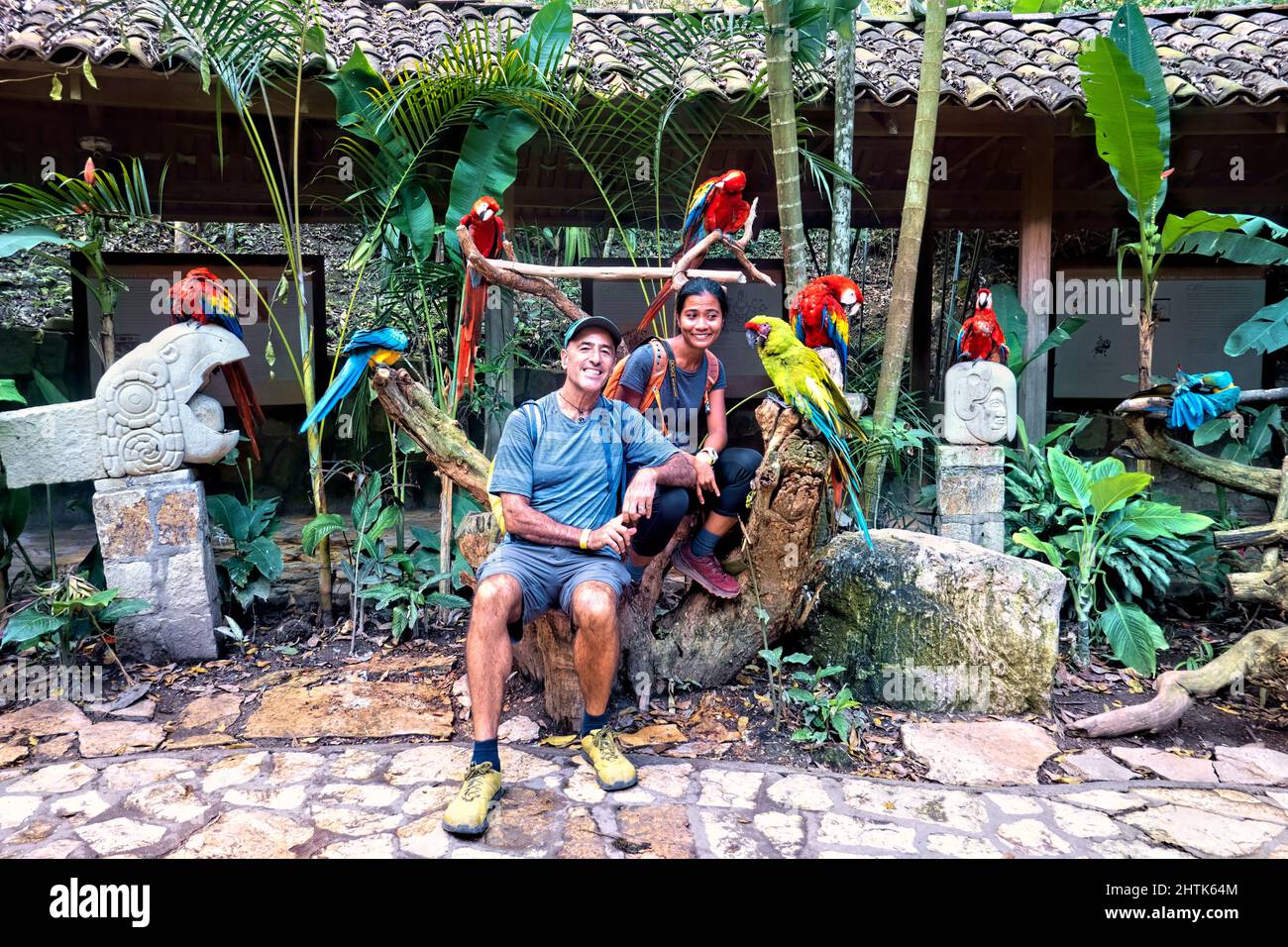 Circondato da macaws a Macaw Mountain, Copan Ruinas, Honduras Foto Stock