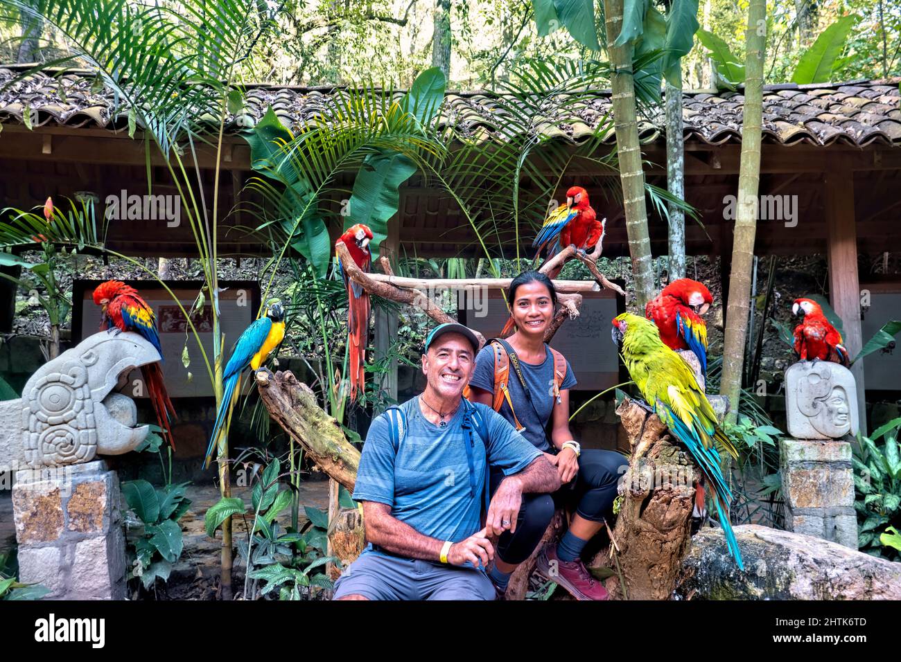 Circondato da macaws a Macaw Mountain, Copan Ruinas, Honduras Foto Stock