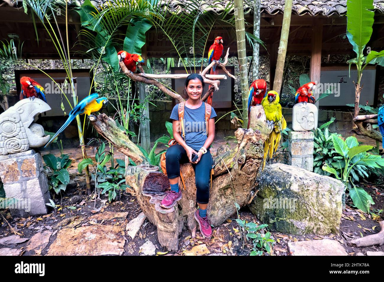 Circondato da macaws a Macaw Mountain, Copan Ruinas, Honduras Foto Stock