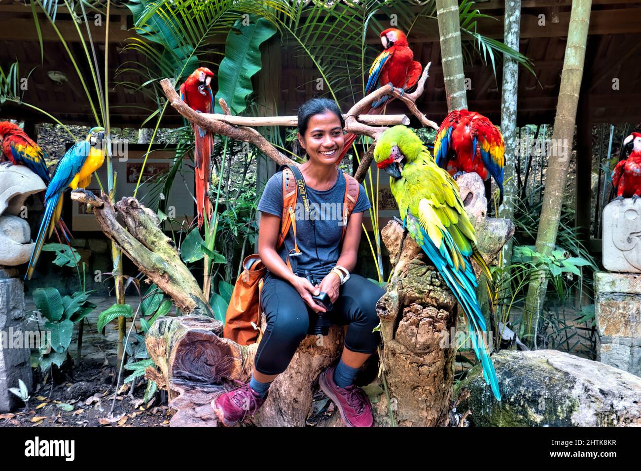 Circondato da macaws a Macaw Mountain, Copan Ruinas, Honduras Foto Stock