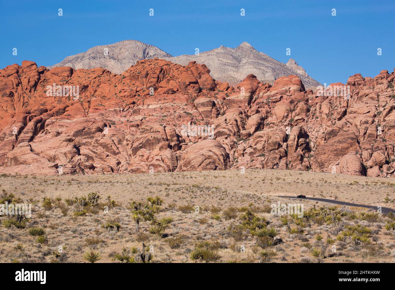 Torreggianti picchi di arenaria rossa nella Red Rock Canyon National Conservation Area di Las Vegas, Nevada Foto Stock