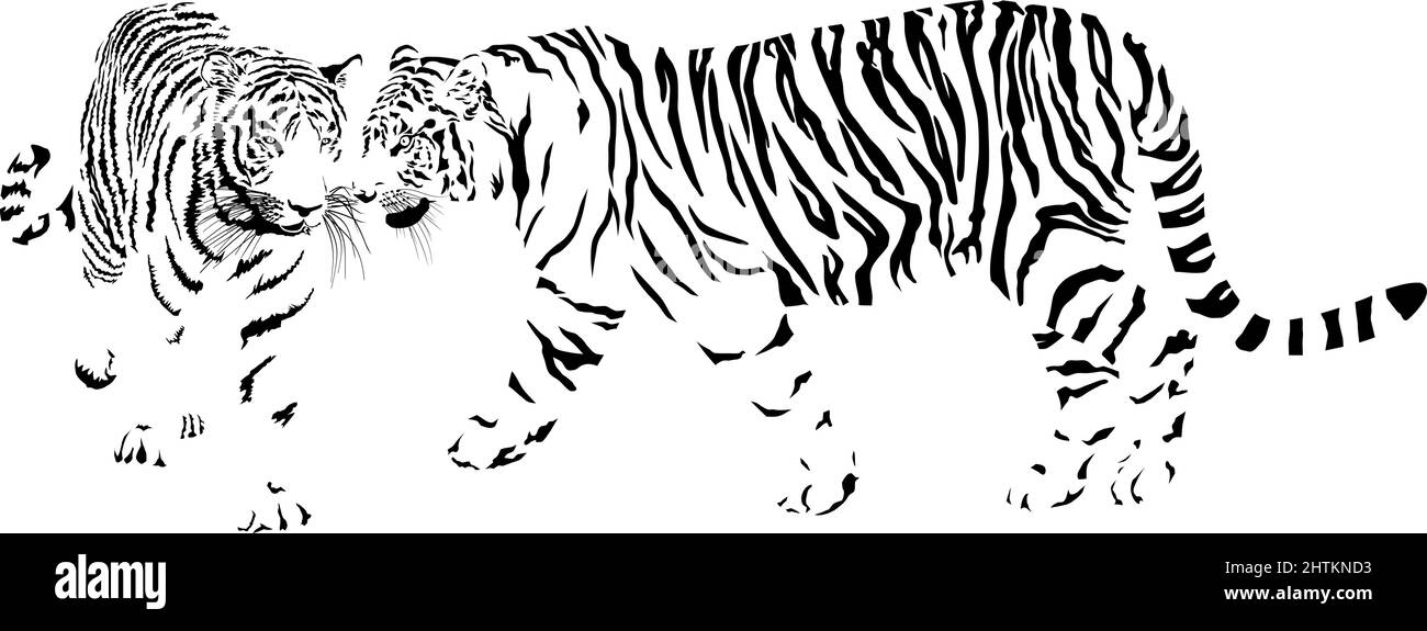Dormire jaguar Illustrazione Vettoriale