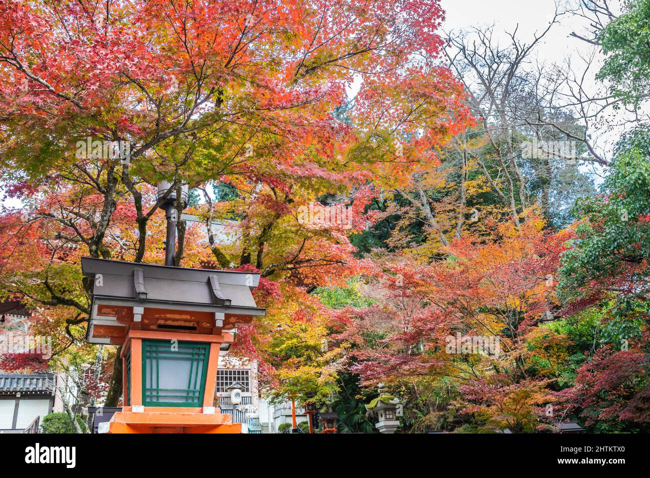 Un percorso fiancheggiato da lanterne con scale che conducono al Tempio Kurama-dere a nord di Kyoto, in Giappone, in una mattinata d'autunno. Foto Stock