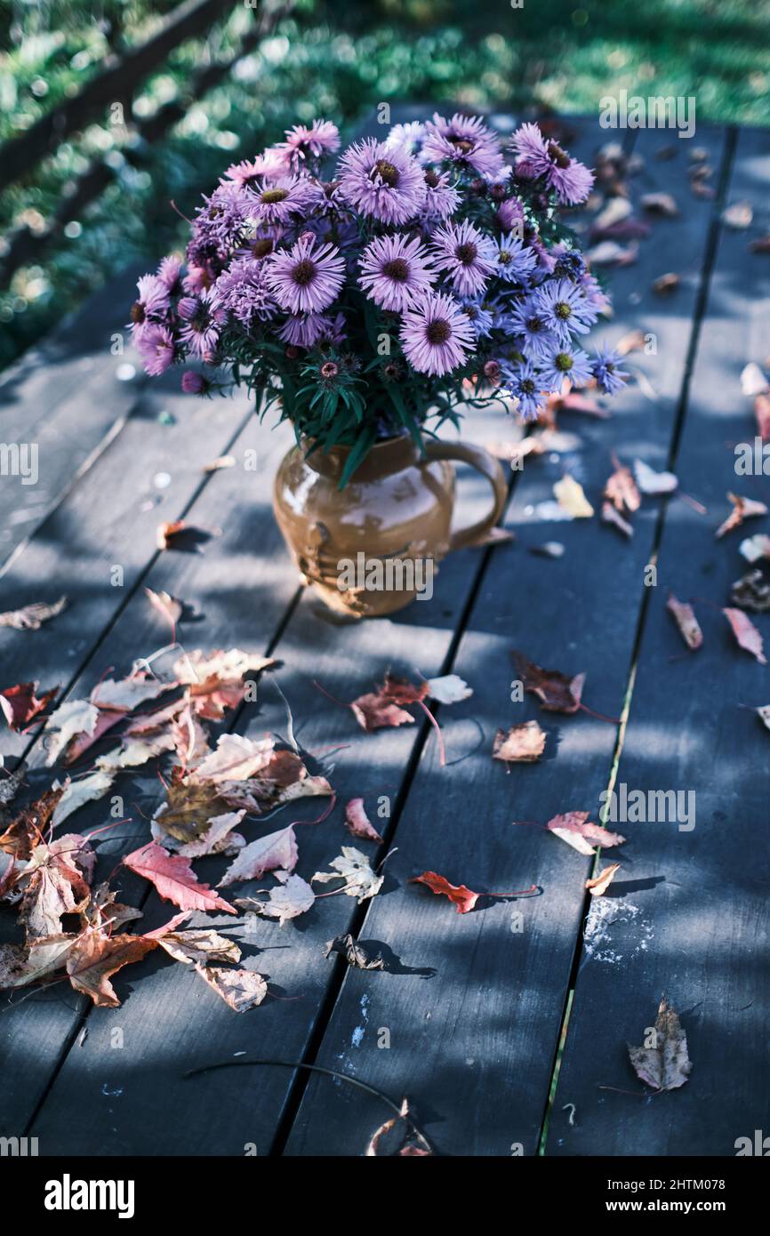 Bouquet floreale viola d'autunno in vaso su un tavolo da giardino circondato da foglie Foto Stock