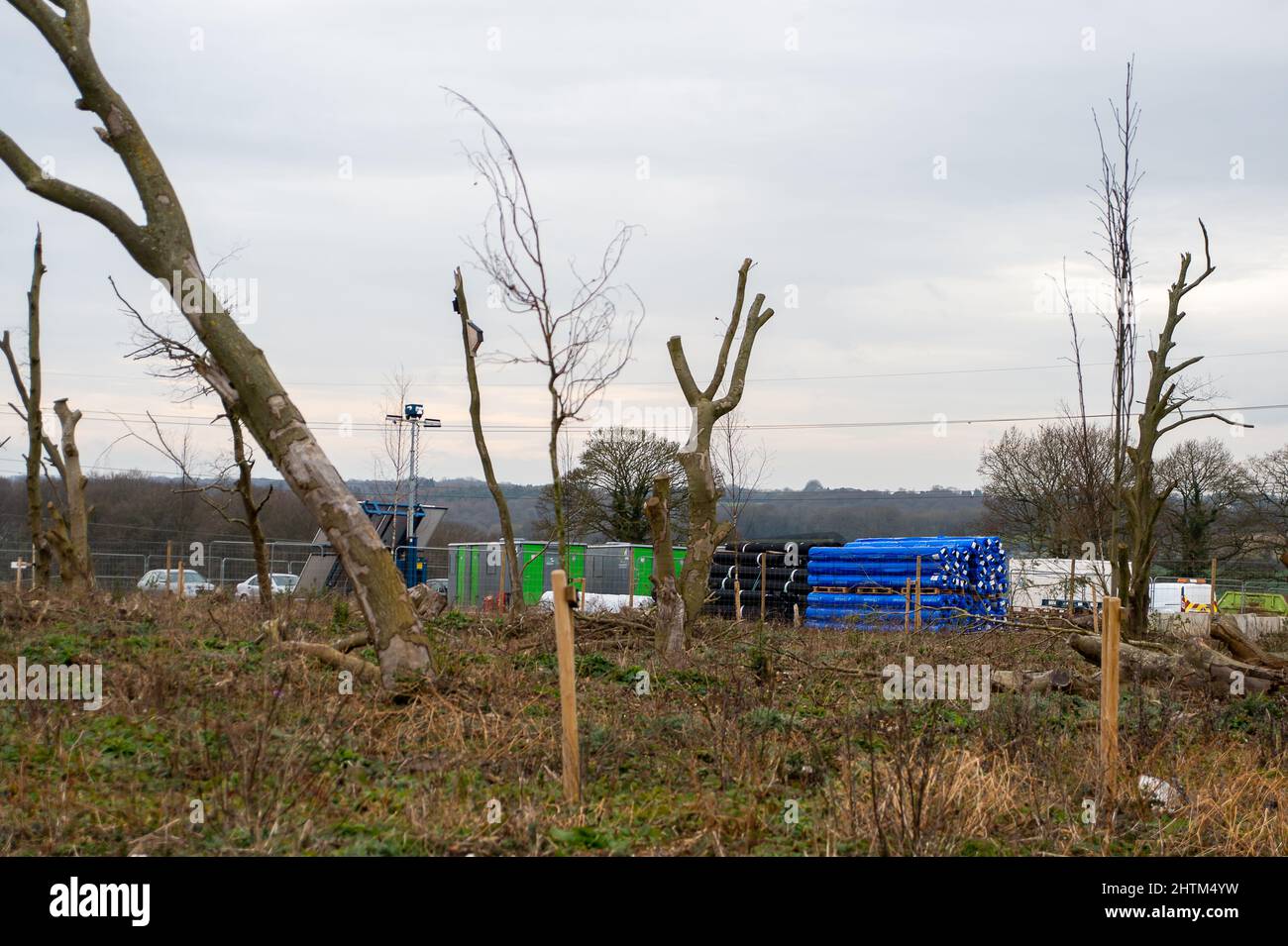 Aylesbury vale, Buckinghamshire, Regno Unito. 28th Febbraio, 2022. Parte della mitigazione HS2. Sono stati piantati nuovi alberi, ma molti di essi sono già morti. Credit: Maureen McLean/Alamy Foto Stock