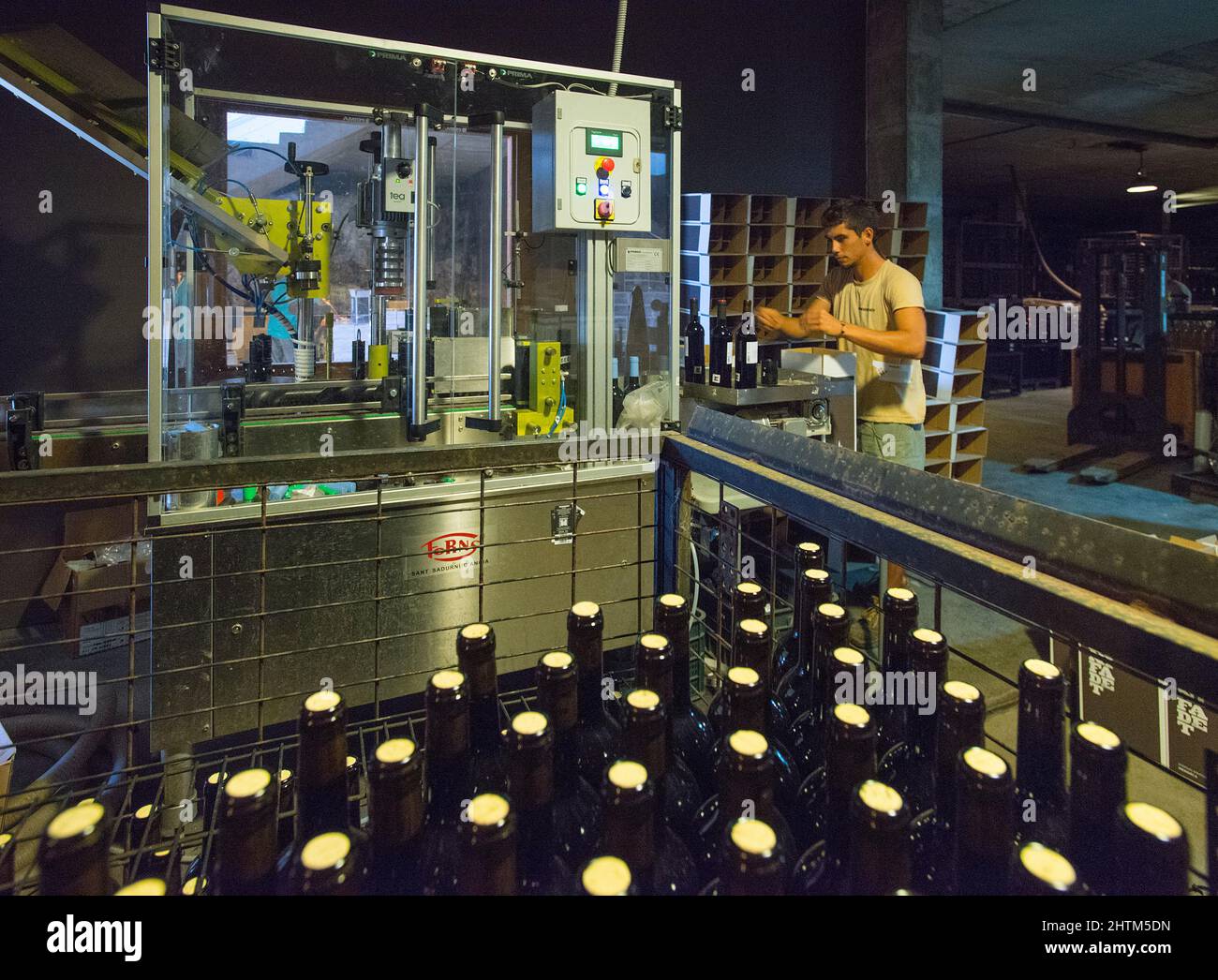 Imbottigliamento a Bodegas Binifadet, Sant Lluis, Minorca, Baleares, Spagna Foto Stock