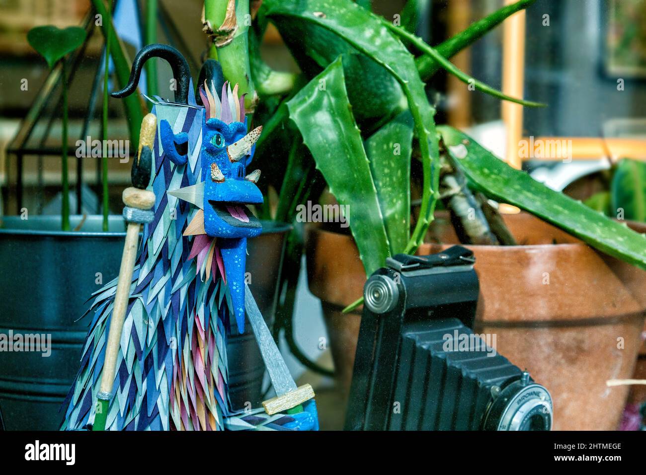 Un modello di una strana creatura cornata si trova accanto ai vasi delle piante e a una vecchia macchina fotografica in una vetrina del negozio. Foto Stock