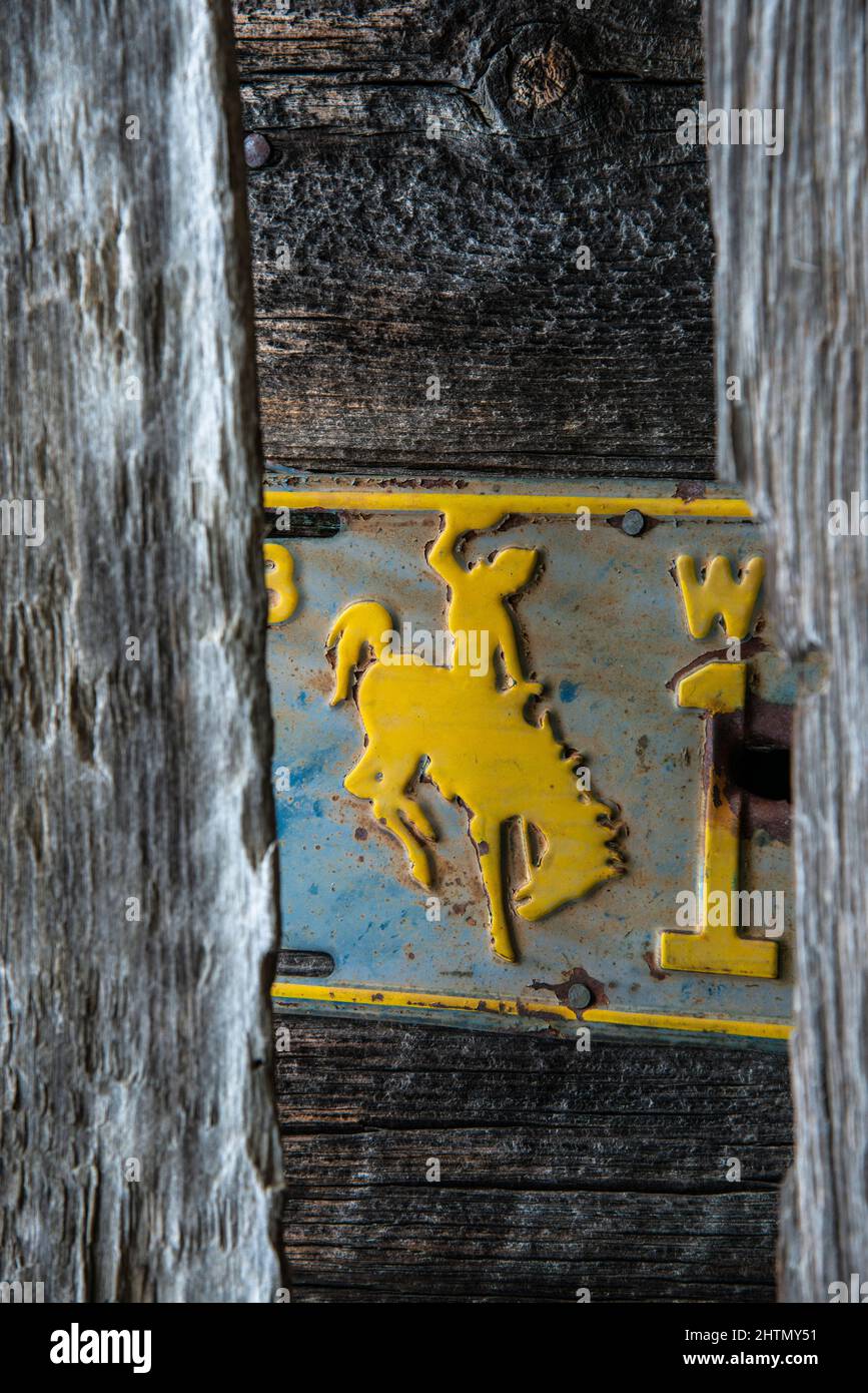 Arte occidentale con legno intemperiato e bronco burcante su un piatto di licese Wyoming su vecchio fienile Foto Stock