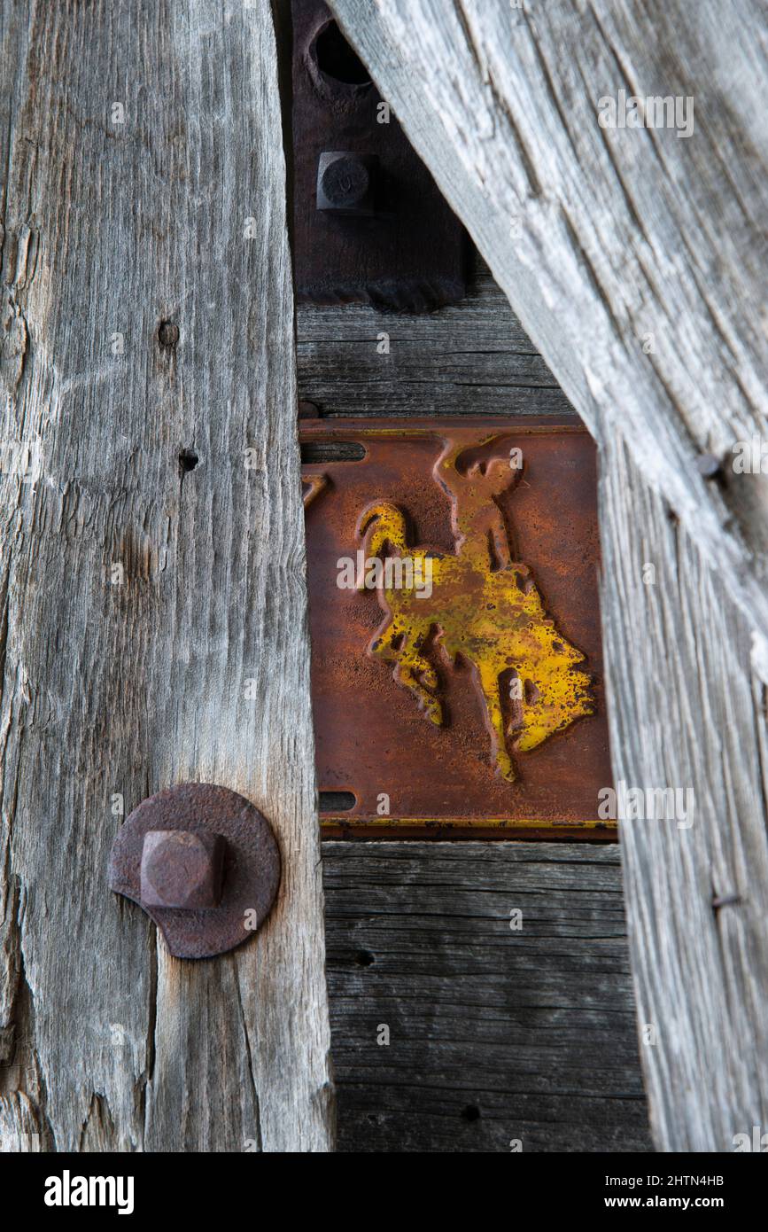 Arte occidentale con legno intemperiato e bronco burcante su un piatto di licese Wyoming su vecchio fienile Foto Stock