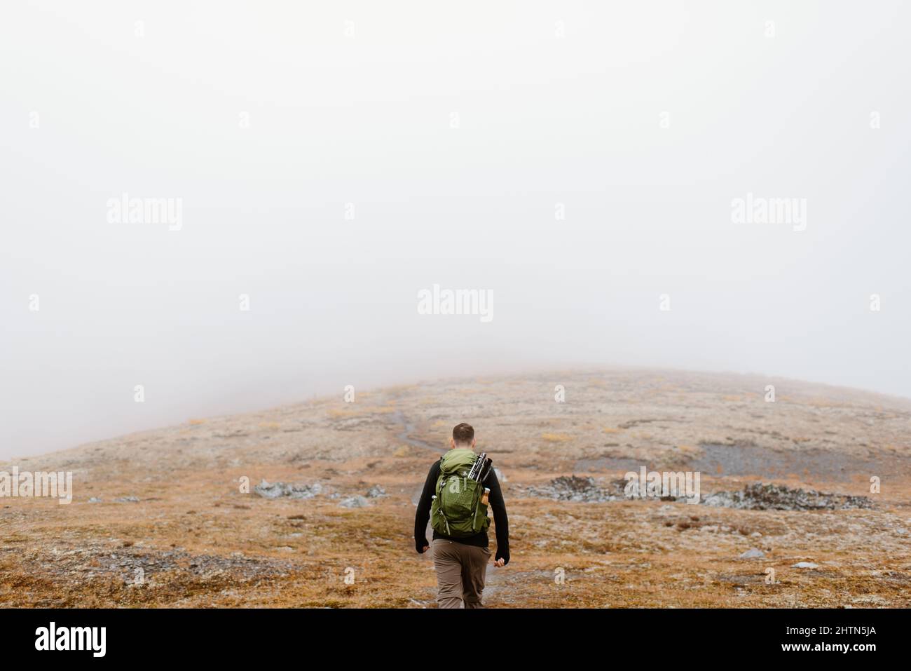 Canada, Yukon, Whitehorse, Vista posteriore di uomo escursioni in paesaggio nebbia Foto Stock