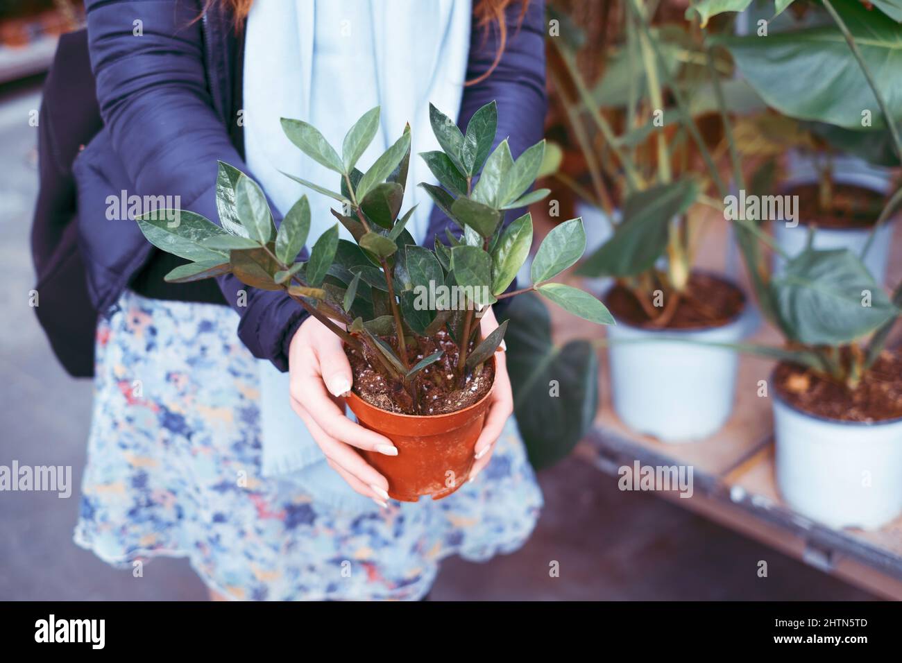 Donna che acquista per i fiori in vaso in un mercato di giardinaggio Foto Stock