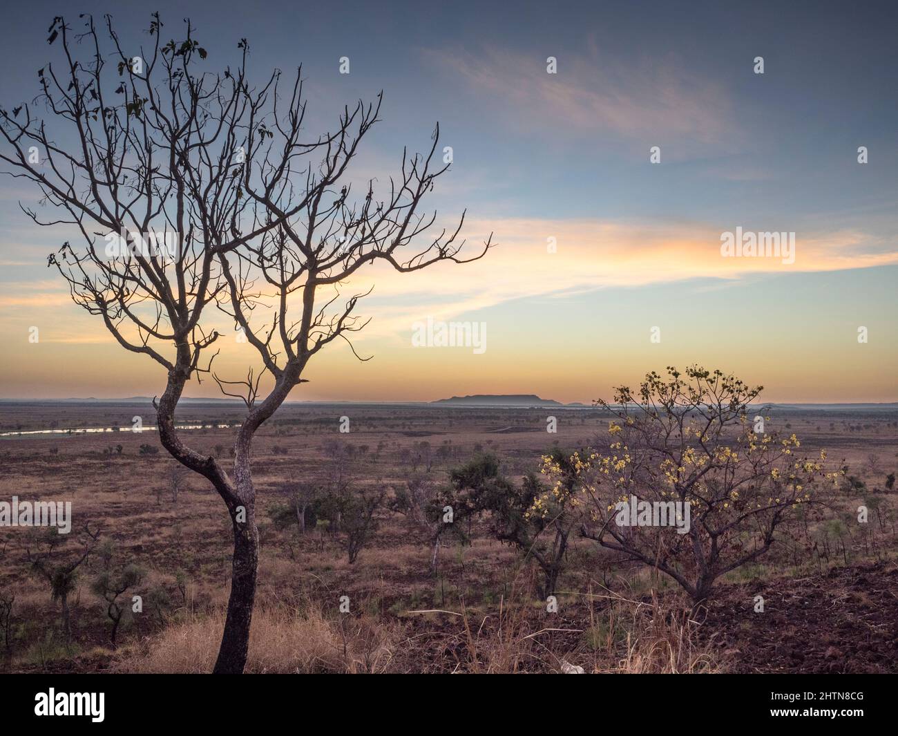 Alba sulla pianura alluvione del fiume Ord da Telegraph Hill, Parry Lagoons, East Kimberley Foto Stock