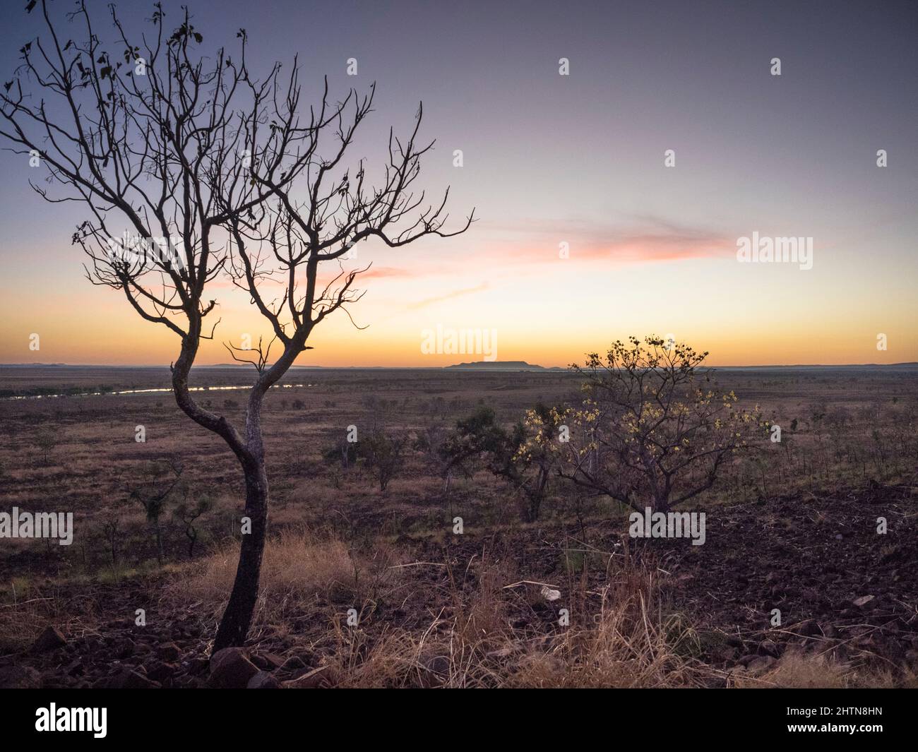 Alba sopra la pianura alluvione del fiume Ord e House Roof Hill da Telegraph Hill, Parry Lagoons, East Kimberley Foto Stock