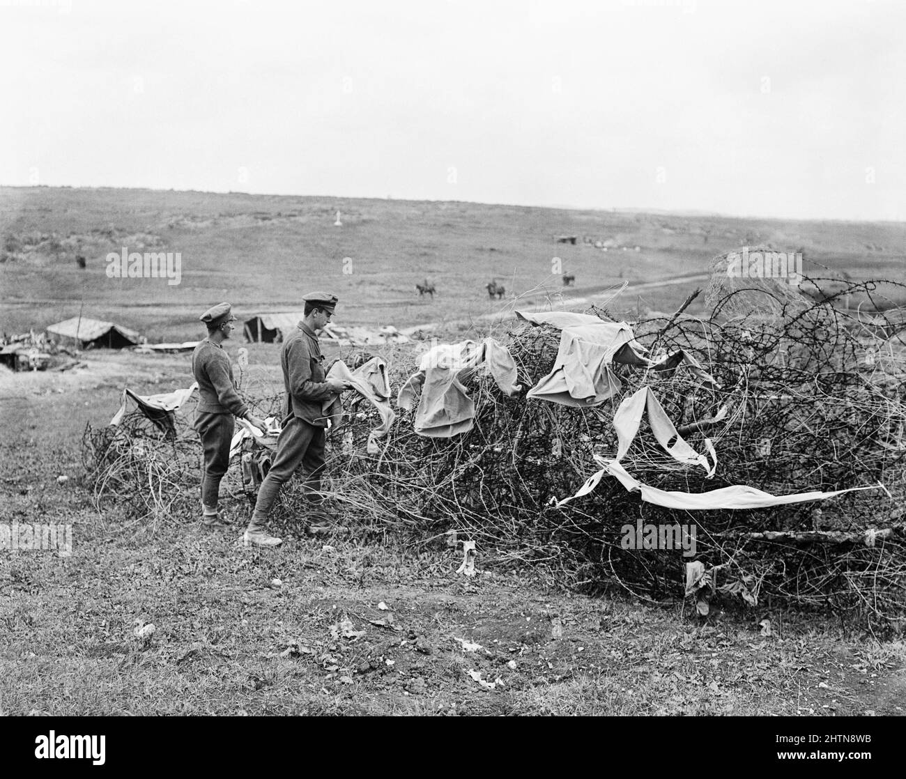 Le truppe britanniche asciugano la loro lavanderia su vecchio filo spinato tedesco di fronte a Mametz, settembre 1916. Foto Stock