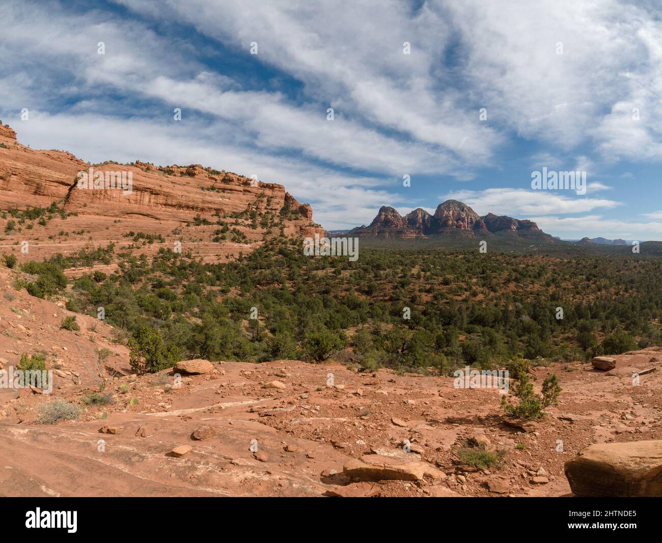 Grande vista delle formazioni rocciose e di un paesaggio desertico pieno di cespugli. Foto Stock