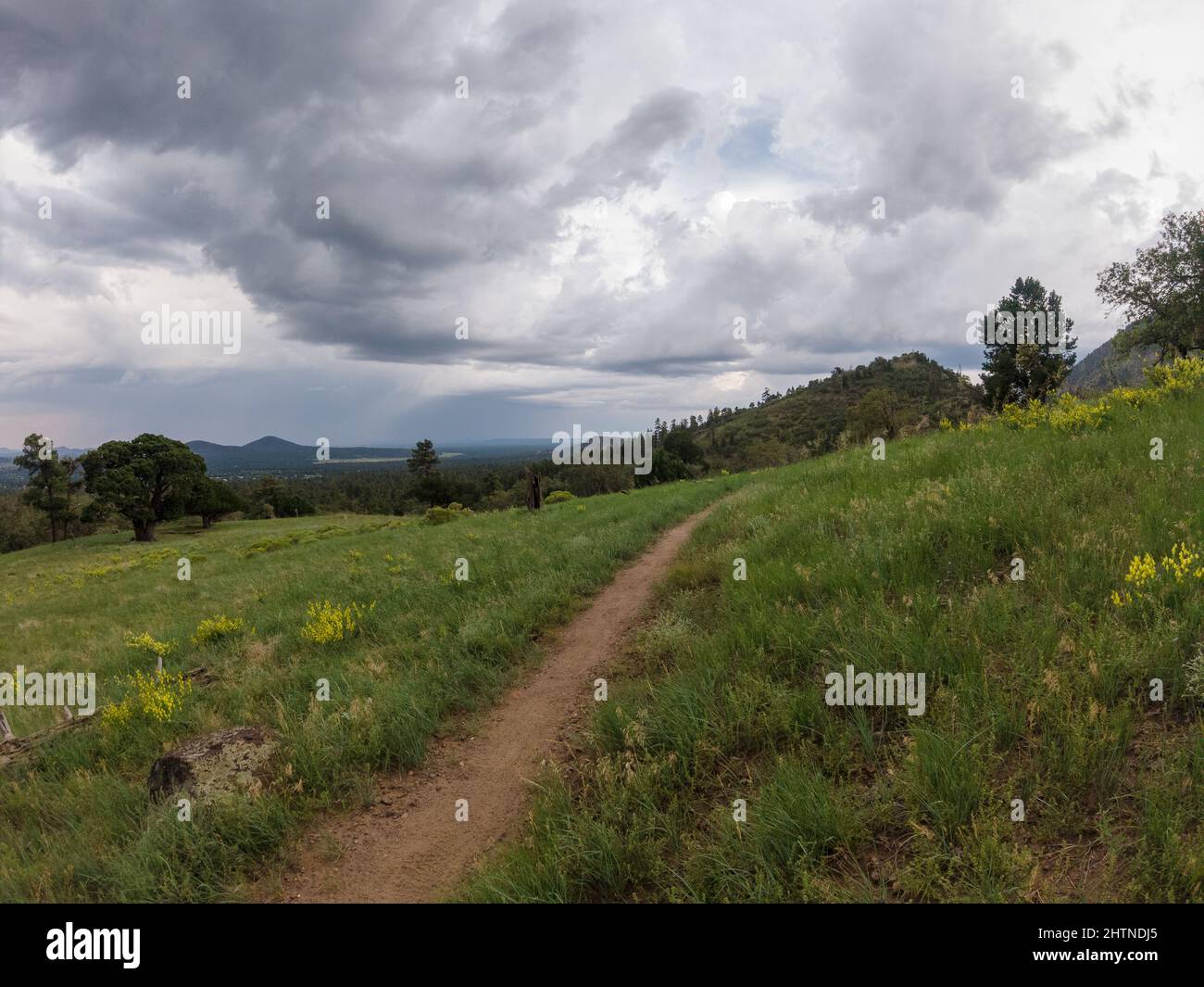 Percorso escursionistico usurato che attraversa un campo erboso che conduce alla foresta e montagne in una giornata tempesta. Foto Stock