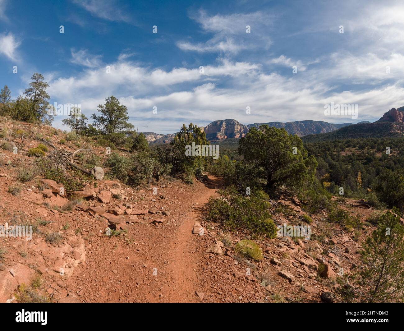 Sentiero escursionistico roccioso attraverso il deserto con montagne in lontananza. Foto Stock